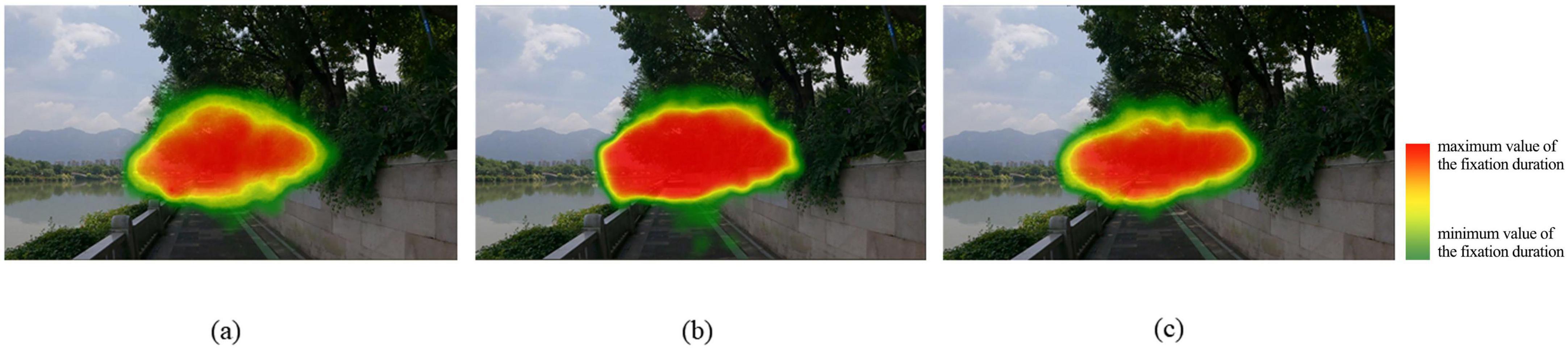 Three images of the same outdoor scene show varying heat maps indicating fixation duration. Each image has a pathway lined by trees and a railing. Colored areas range from red, representing maximum fixation, to green, indicating minimum fixation. All three images depict a similar concentration of red in the center, with gradients spreading outward. Each image has a label: (a), (b), and (c).