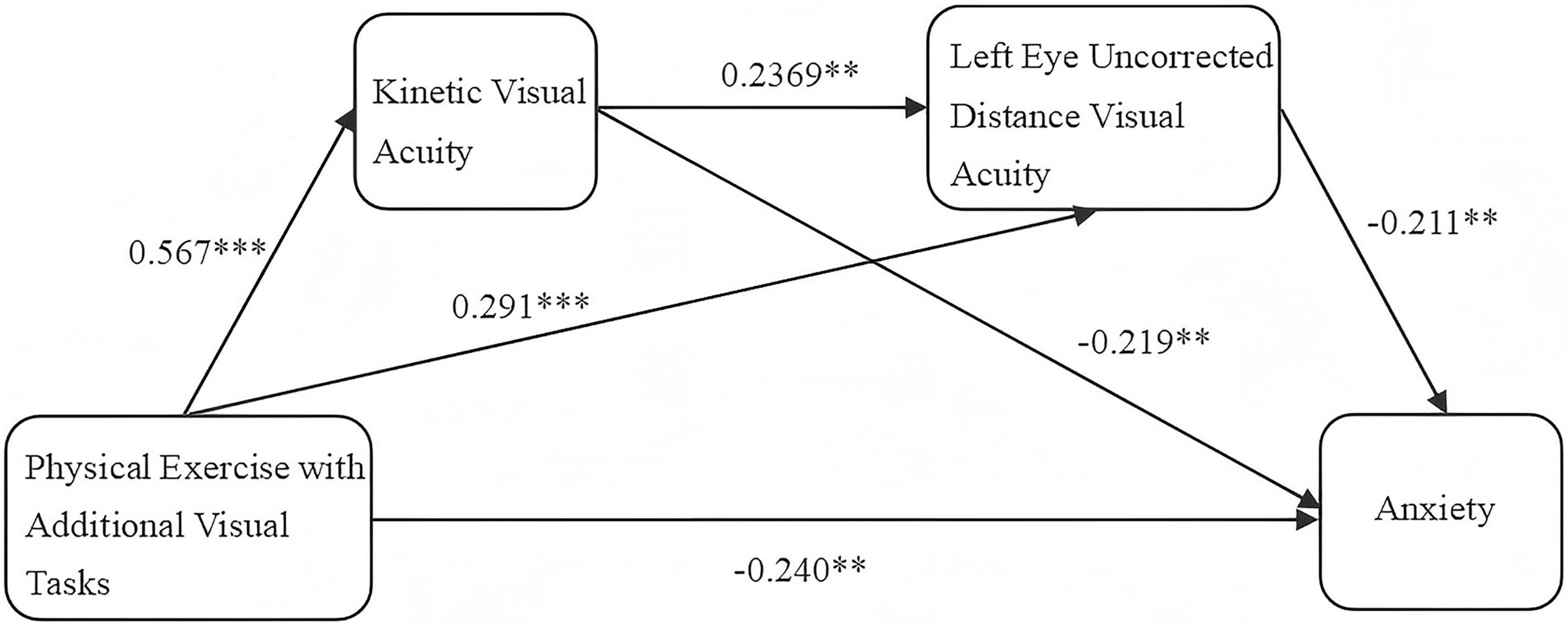 Flowchart showing relationships between variables: Physical Exercise with Additional Visual Tasks affects Kinetic Visual Acuity (0.567***) and Anxiety (-0.240**). Kinetic Visual Acuity impacts Left Eye Uncorrected Distance Visual Acuity (0.2369**) and Anxiety (0.291***). Left Eye Uncorrected Distance Visual Acuity affects Anxiety (-0.211**). Additionally, a direct negative effect on Anxiety (-0.219**) is depicted. Arrows indicate direction and magnitude of effects.