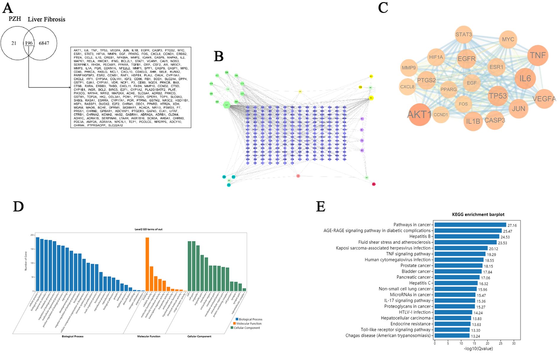 Venn diagram labeled A shows gene overlap between PZH and liver fibrosis, with 196 genes shared. Diagram B is a network graph of gene interactions. Diagram C is a molecular interaction network highlighting key genes like AKT and TNF. Chart D presents bar graphs of gene ontology (GO) terms categorized into biological processes, molecular functions, and cellular components. Bar plot E is a KEGG enrichment analysis showing significant pathways, including cancer and signaling pathways, with p-values indicated.