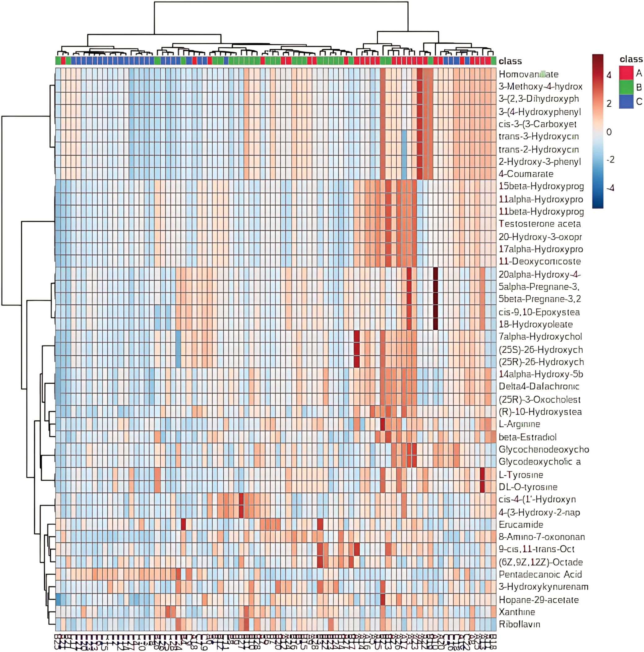 Two score plots labeled A and B show clusters of data points representing components or principal components. Plot A uses PC1 and PC2, while plot B uses Component 1 and 2. Data points are color-coded into groups A, B, and C with overlapping shaded ellipses indicating data distribution.