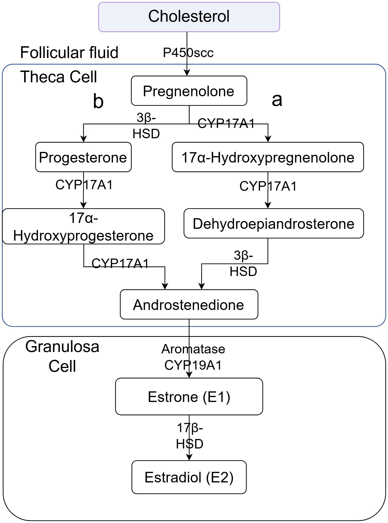 Clustered heatmap showing hierarchical clustering of samples and metabolites. Rows are labeled with metabolite names, and columns are grouped by class (A, B, C), indicated by colored bars. The color scale ranges from blue to red, representing different expression levels, with blue indicating low expression and red indicating high expression.