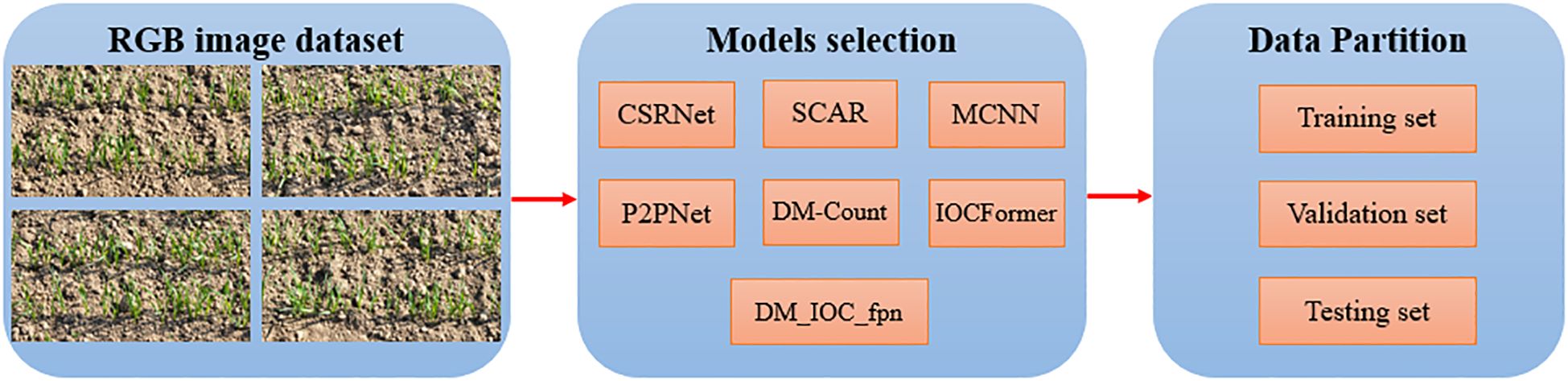 Flowchart depicting a process starting with an RGB image dataset of plant seedlings in four photos. It progresses to model selection including CSRNet, SCAR, MCNN, P2PNet, DM-Count, IOCFormer, and DM_IOC_fpn, followed by data partition into training, validation, and testing sets.