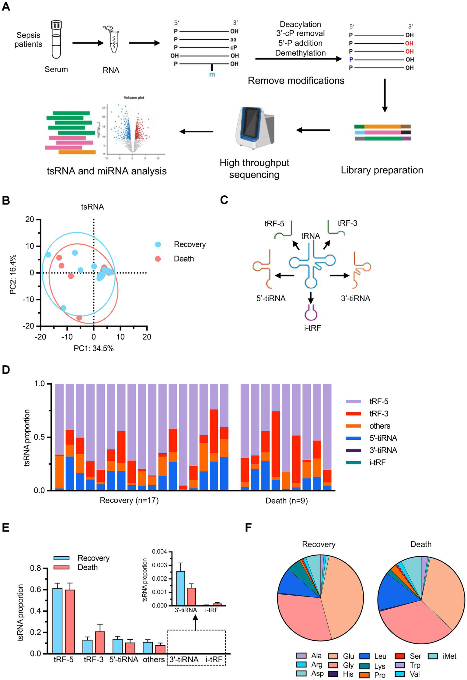 Diagram detailing research on tsRNA and miRNA in sepsis patients. (A) Workflow includes serum collection, RNA extraction, modification removal, library preparation, sequencing, and analysis. (B) PCA plot compares tsRNA profiles in recovery versus death groups. (C) Diagram of tRNA processing pathways. (D) Bar graph of tsRNA proportions across patient groups. (E) Bar graph comparing tsRNA types between recovery and death outcomes, including inset for 3'-tiRNA and i-tRF. (F) Pie charts display amino acid distribution in the recovery and death groups.