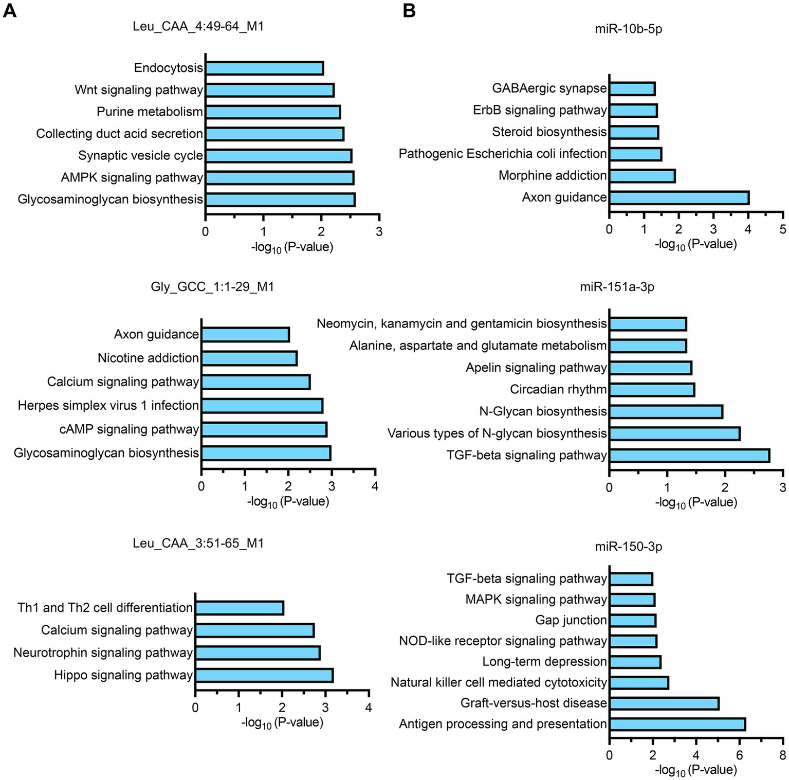 Two grouped bar charts (A and B) display pathways linked to specific markers and their significance. Panel A shows pathways for Leu_CAA_4:49-64_M1, Gly_GCC_1:1-29_M1, and Leu_CAA_3:51-65_M1, highlighting pathways like endocytosis and calcium signaling. Panel B shows pathways for miR-10b-5p, miR-151a-3p, and miR-150-3p, highlighting pathways like TGF-beta signaling and antigen processing. The x-axis represents the negative logarithm of the P-value, indicating statistical significance.