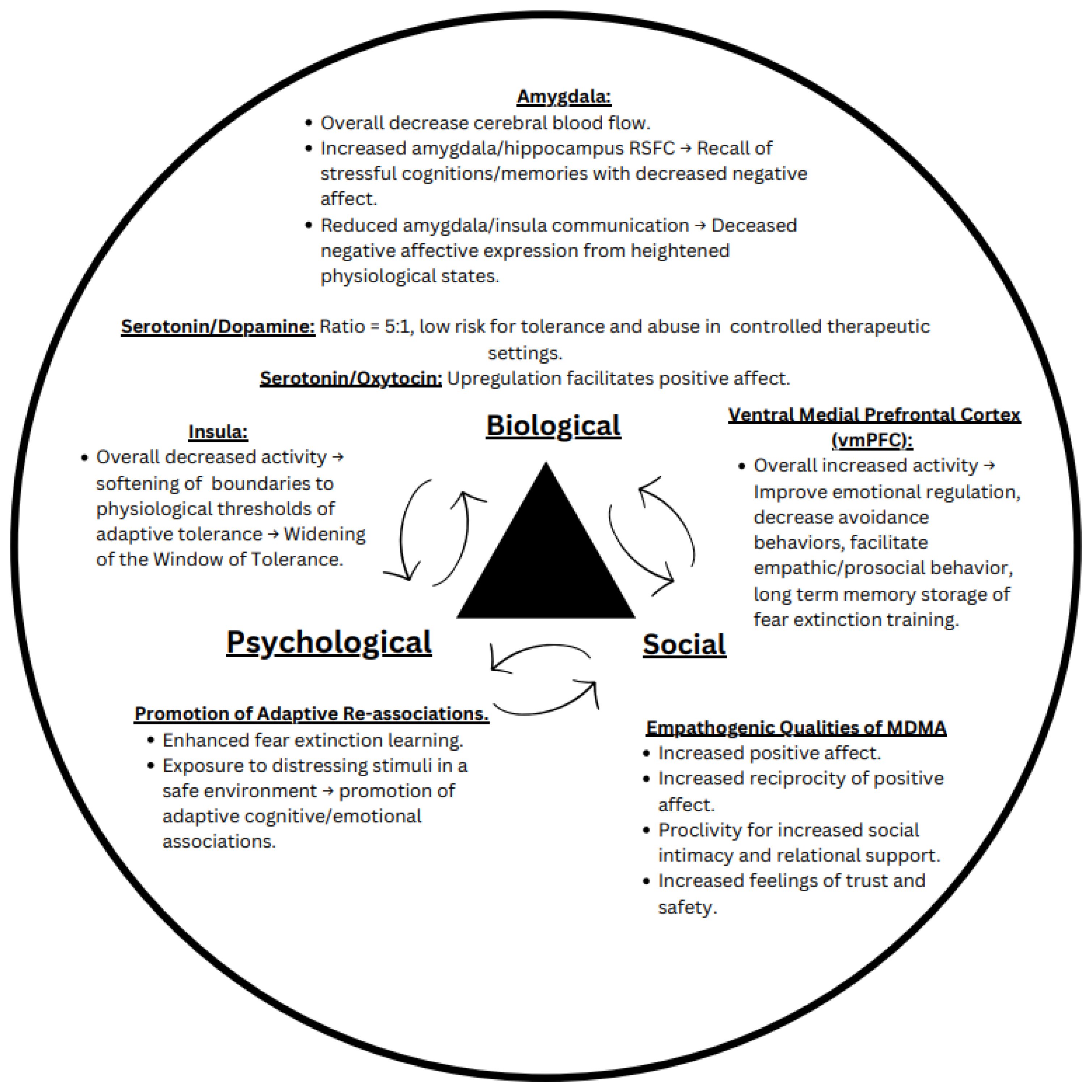 Diagram illustrating the biological, psychological, and social effects of therapeutic interventions. The triangle in the center connects arrows representing these interactions. The biological effects include changes in amygdala, serotonin, and dopamine levels, with increased ventral medial prefrontal cortex activity. Psychological effects involve adaptive learning and tolerance. Social effects center on MDMA's empathogenic qualities, enhancing social bonds and positive affect. Each section provides detailed descriptions of specific brain regions and neurotransmitter activities.