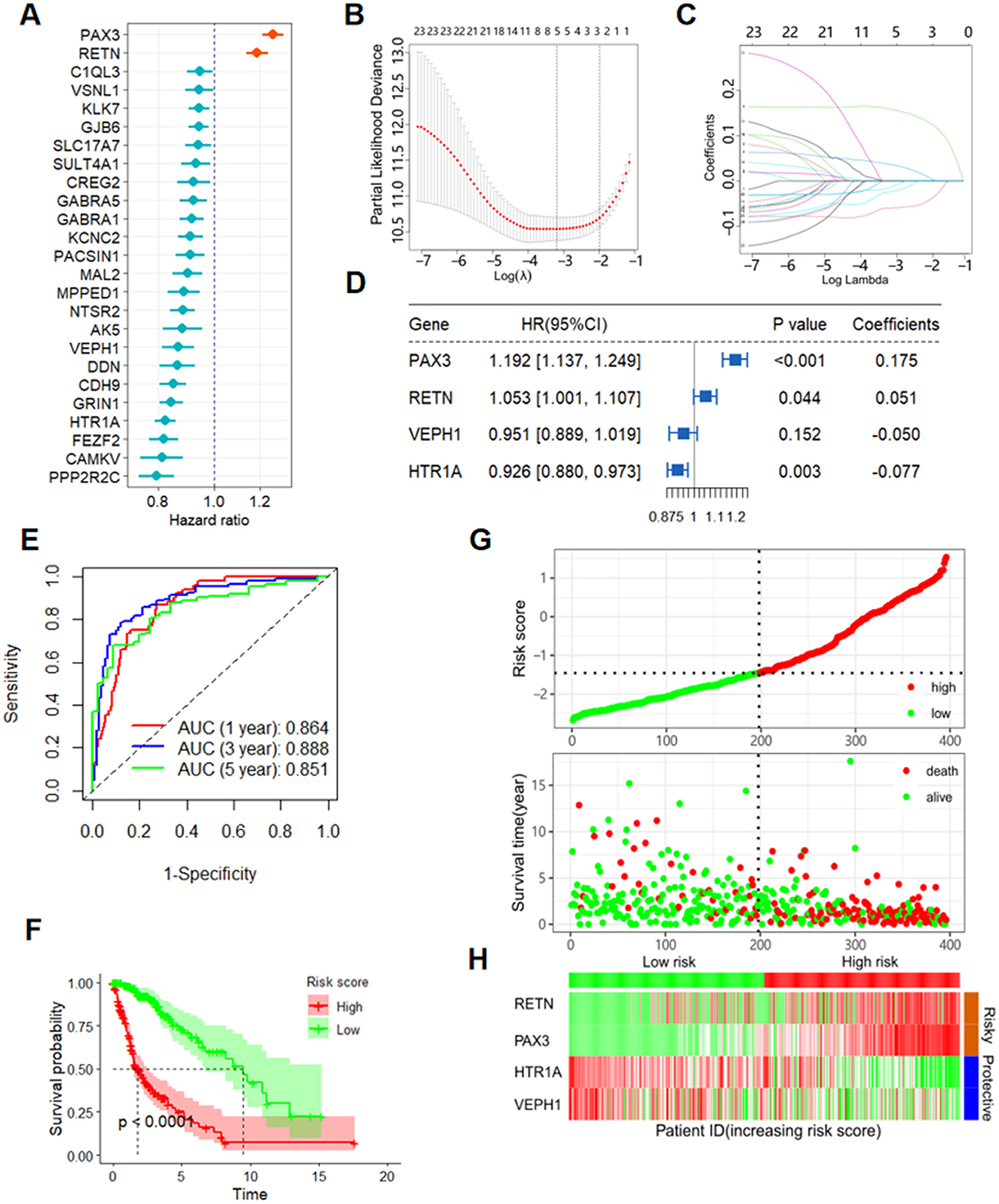 A composite figure analyzing prognostic genes in a study. Panel A shows a forest plot of hazard ratios for various genes. Panel B presents a partial likelihood deviance plot versus log lambda for model selection. Panel C illustrates coefficients paths. Panel D is a table of selected genes with hazard ratios, p-values, and coefficients. Panel E depicts ROC curves with AUC for different time points. Panel F is a Kaplan-Meier survival plot categorizing risk scores. Panel G shows distribution of risk scores and survival status. Panel H is a heatmap displaying gene expression patterns across patient IDs, highlighting risky and protective genes.