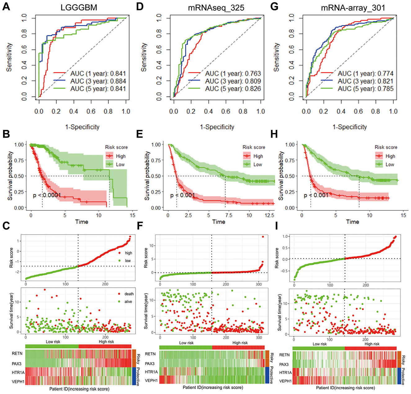 Image showing three panels (A, D, G) with ROC curves, three panels (B, E, H) with Kaplan-Meier survival plots, and three panels (C, F, I) with risk score distribution and heatmaps. Panels A, B, C represent LGGGBM data, D, E, F represent mRNAseq_325 data, and G, H, I represent mRNA-array_301 data. Each ROC curve shows sensitivity vs. 1-specificity with AUC values for one, three, and five years. Kaplan-Meier plots display survival probabilities for high and low risk groups, highlighting significant p-values. Risk score plots and heatmaps illustrate patient data, survival times, and expression levels for specific genes like RETN and PAX3.