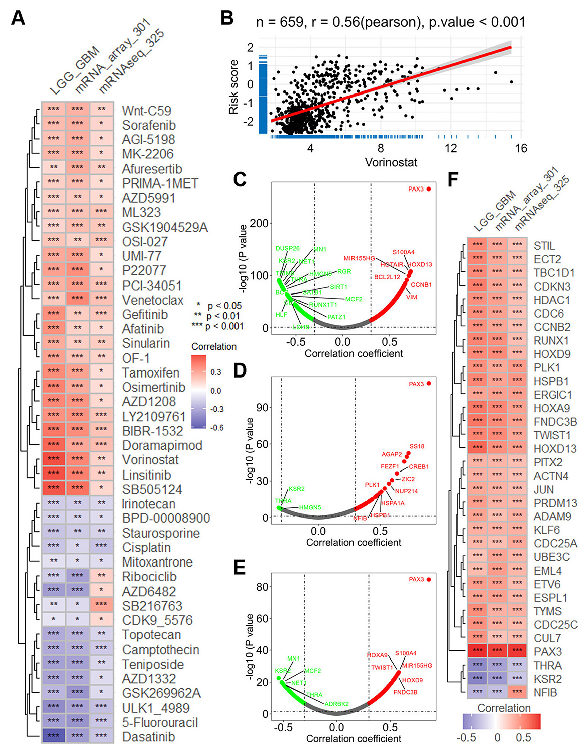 Heatmap and scatter plot in a scientific study. Diagram A shows drug correlation with gene expression, using a heatmap with varying color intensity to indicate significance. Plot B depicts a positive correlation between Vorinostat and risk score, with a Pearson coefficient of 0.56. Diagrams C, D, and E display volcano plots with gene names, illustrating correlation coefficients and p-values. Diagram F presents another heatmap, similar to A, with additional gene data. The visualizations collectively analyze gene-drug interactions and correlations.