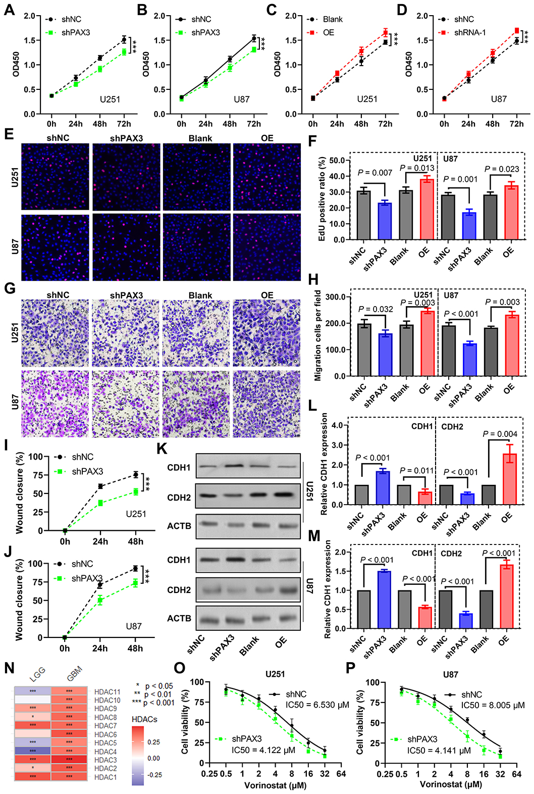 Panel A displays a heatmap of various biological processes with normalized enrichment scores (NES), indicating variations across different conditions. Panel B shows line graphs of enrichment scores for lymphocyte-mediated immunity, leukocyte-mediated immunity, and mononuclear cell differentiation. Panel C presents another heatmap focusing on pathways like P53 signaling and DNA replication. Panel D depicts enrichment scores for DNA replication, cell cycle, and focal adhesion. Panel E illustrates a dot plot for various cellular responses, showing log10P values and count sizes. Panel F shows a similar dot plot for pathways like complement and coagulation cascades.