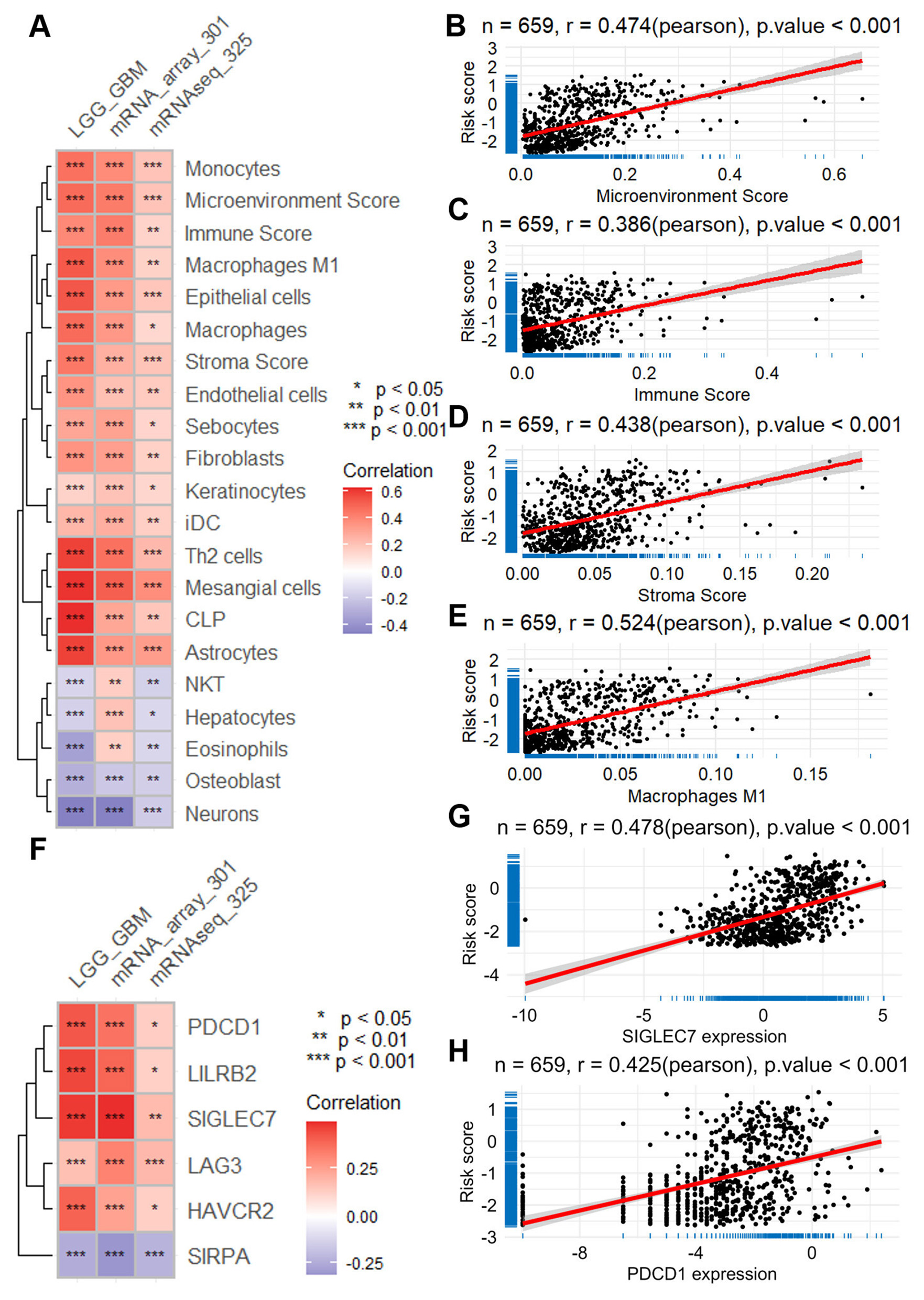 Heatmap and scatter plots showing correlations in a biological study. Panel A displays a heatmap of various cell types and scores against LGG_GBM, mRNA_array_301, and mRNAseq_325, indicating positive and negative correlations with significance levels. Panels B to E show scatter plots correlating microenvironment, immune, stroma, and macrophages M1 scores with risk scores. All plots have positive Pearson correlations and significant p-values. Panel F shows a heatmap of gene expressions. Panels G and H show scatter plots of SIGLEC7 and PDCD1 expressions with risk scores, both with significant positive correlations.