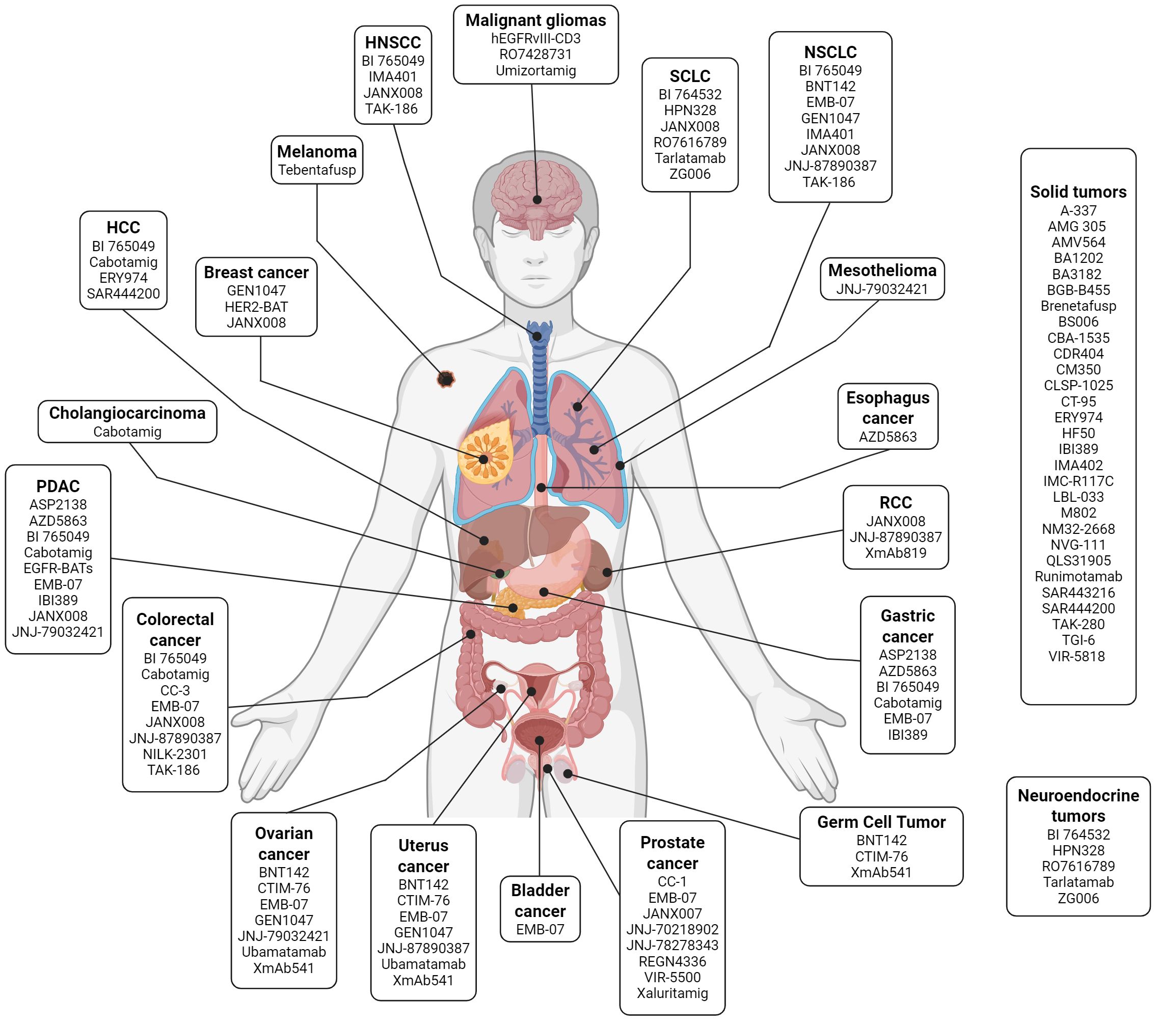 Diagram showing a human body with labeled areas representing different cancer types, such as gliomas, melanoma, breast cancer, and more. Each cancer type lists associated the T-cell engagers that have been tested for therapy.