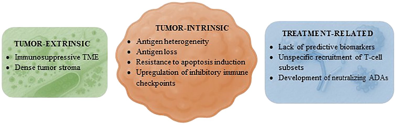 hree panels depict factors affecting tumor response to T-cell engagers. The first panel titled “Tumor-Extrinsic” shows factors like immunosuppressive TME and dense tumor stroma. The second, “Tumor-Intrinsic,” lists antigen heterogeneity, antigen loss, resistance to apoptosis induction, and upregulation of inhibitory immune checkpoints. The third, “Treatment-Related,” mentions a lack of predictive biomarkers, unspecific recruitment of T-cell subsets, and the development of neutralizing ADAs.