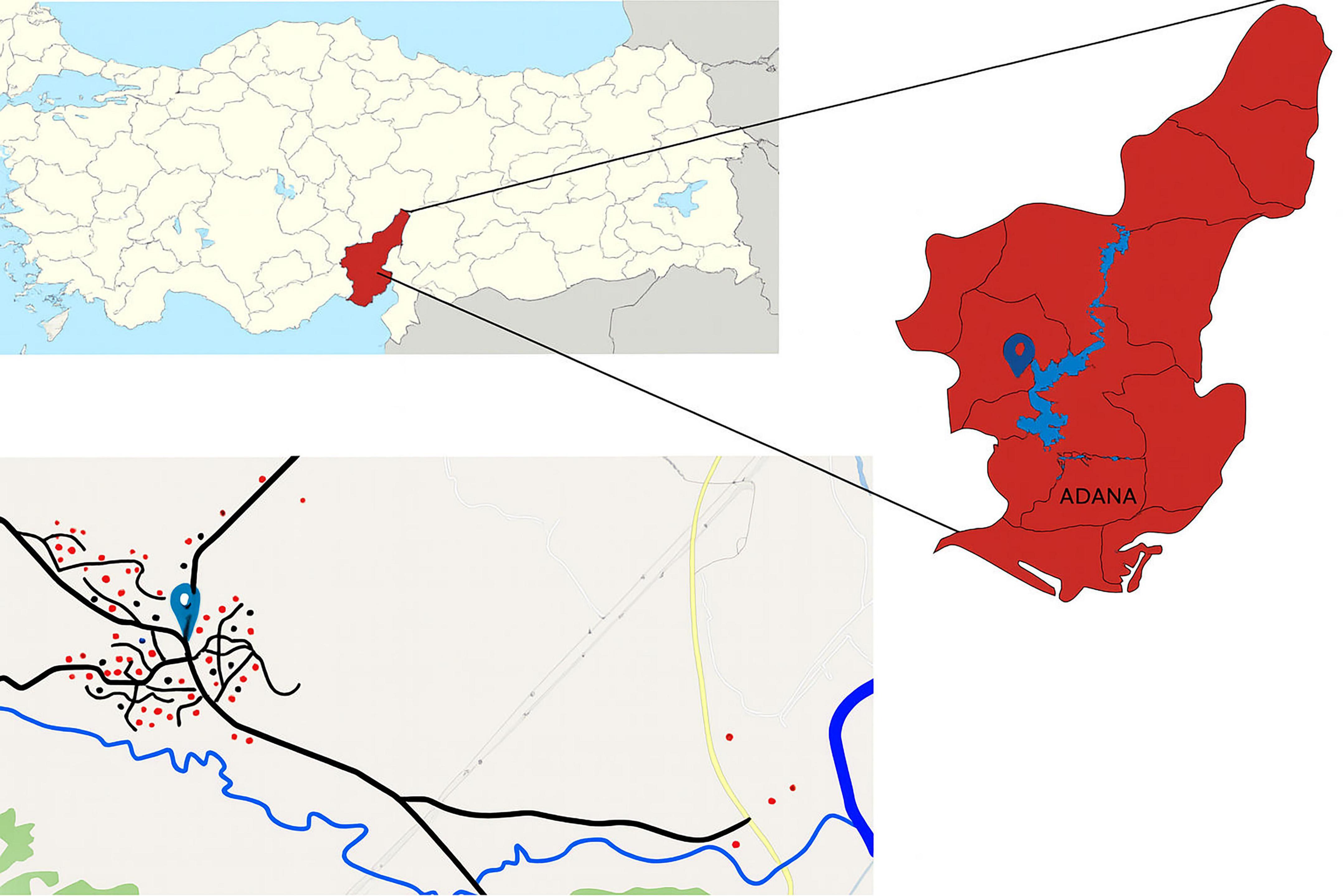 Map showing the location of Adana in Turkey, highlighted in red on a national map. A larger red map of Adana displays waterways and geographical features. Below, a detailed map section focuses on Adana city, with black roads, blue waterways, and red dots indicating specific points of interest.
