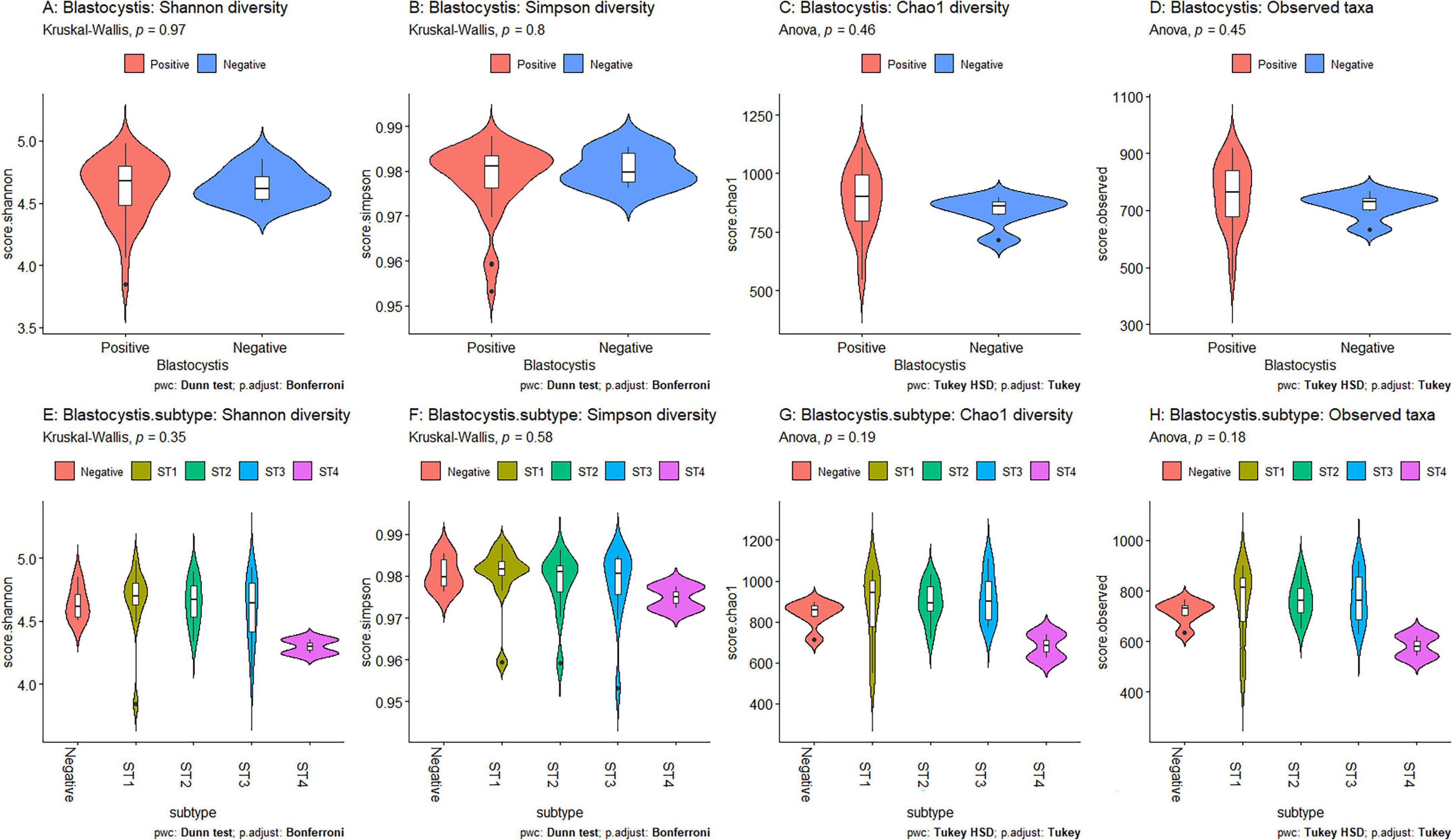 Violin plots showing diversity measures for Blastocystis presence categories and subtypes. Panels A-D compare positive and negative cases across Shannon, Simpson, Chao1 diversity, and observed taxa. Panels E-H depict diversity metrics for subtypes ST1 to ST4 with Kruskal-Wallis or ANOVA tests. Color-coded for positive (red) and negative (blue) Blastocystis cases, and subtypes (yellow, green, blue, purple). Statistical significance noted above each plot.