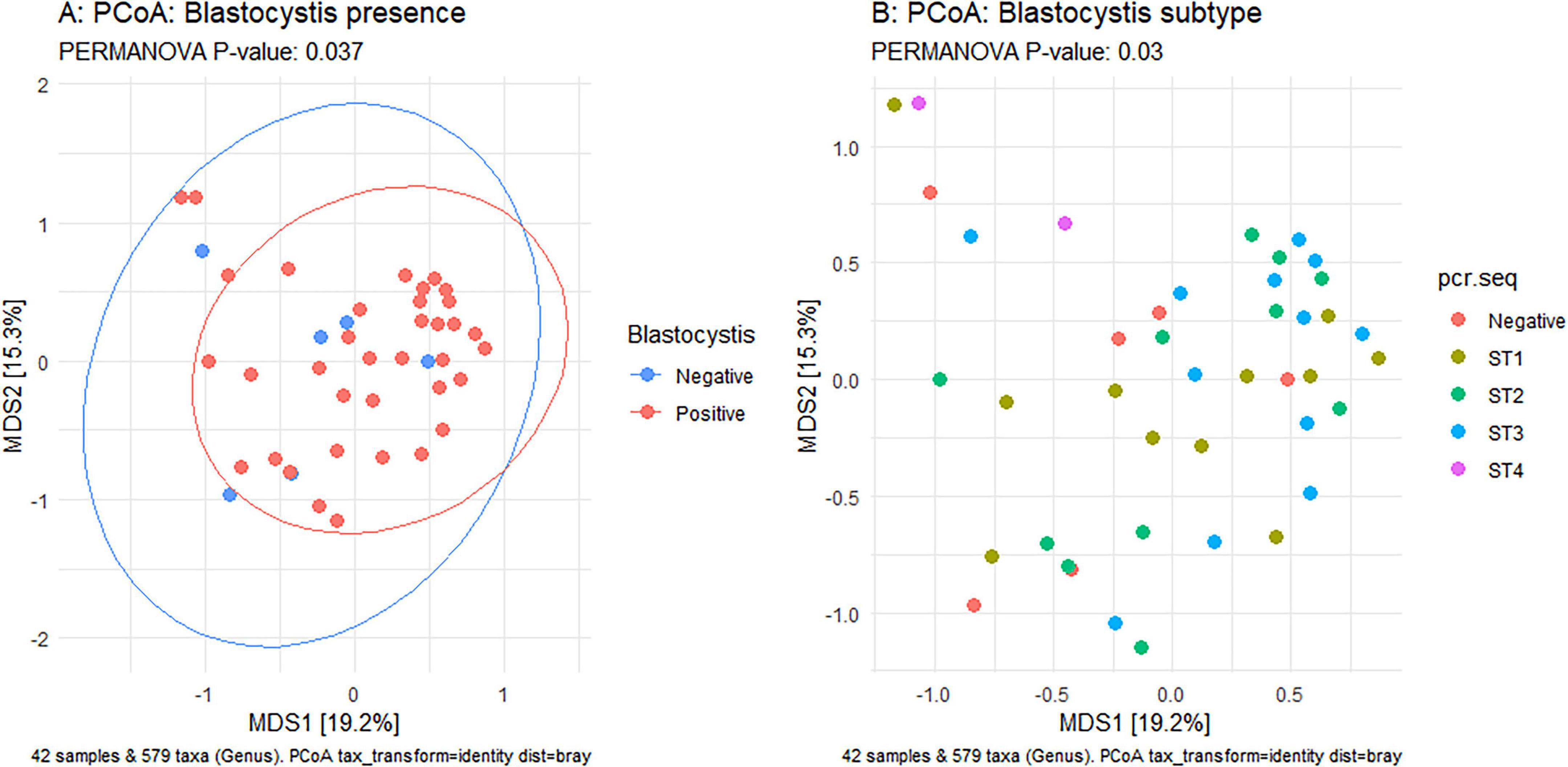 Two PCoA plots display Blastocystis data. On the left, dots indicate presence (positive in red, negative in blue) with visible clusters. On the right, different colors represent Blastocystis subtypes (negative, ST1, ST2, ST3, ST4) showing subtype distribution. Both plots note a PERMANOVA p-value, indicating statistical significance.