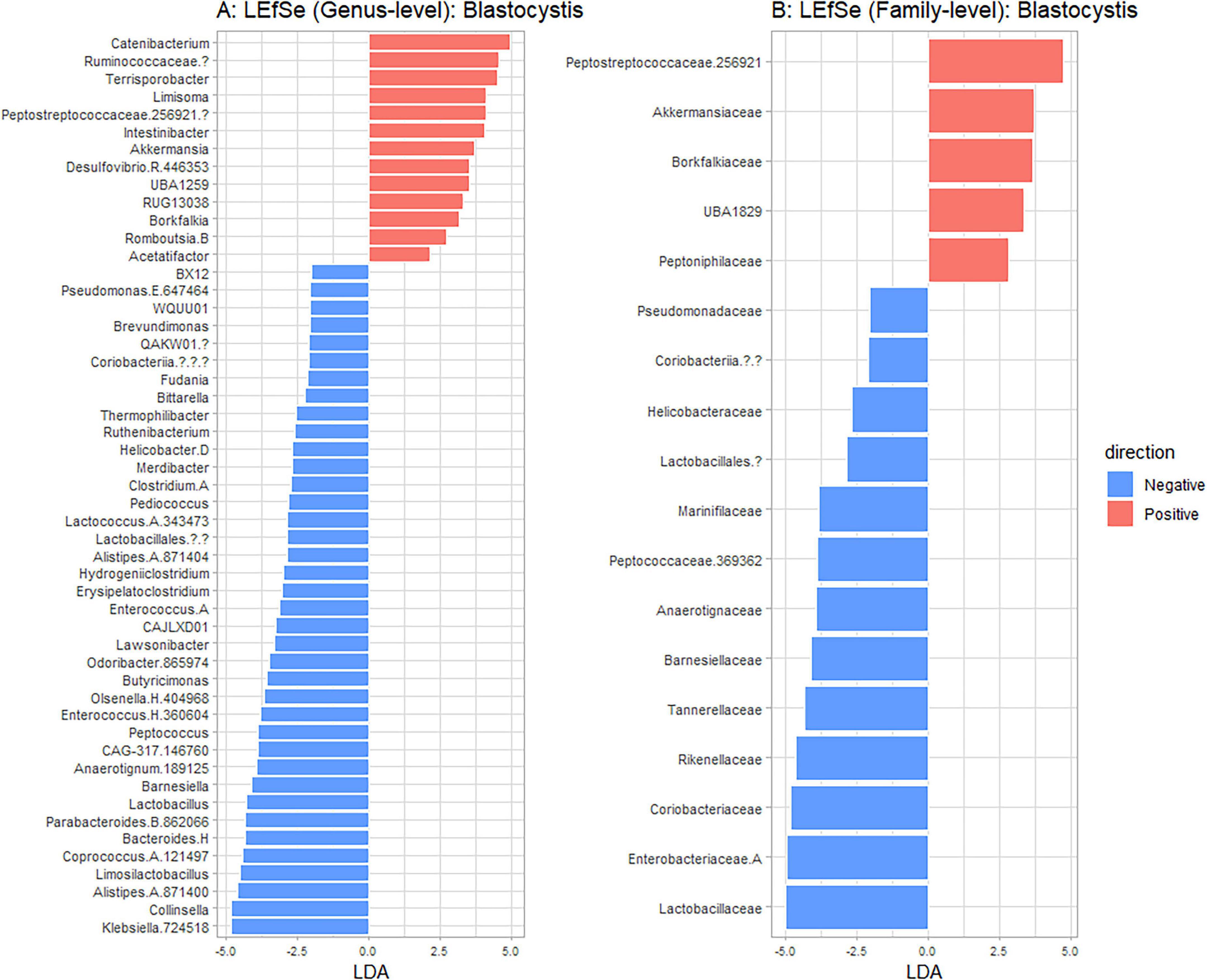 Two bar charts compare the direction of effect for genus-level (A) and family-level (B) Blastocystis using LEfSe analysis. Positive effects are shown in red and negative effects in blue. The genus-level chart shows more genera with negative effects, while the family-level chart indicates most families have negative influences. Both charts are measured on a linear discriminant analysis (LDA) scale from negative five to positive five.