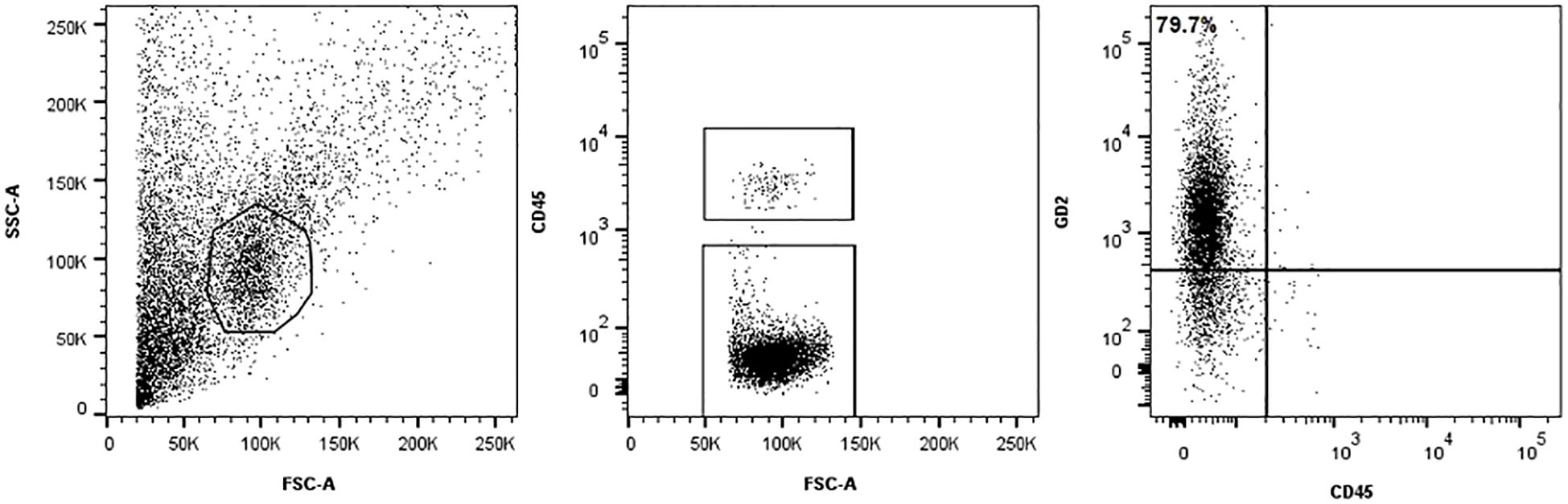 Three dot plots from flow cytometry showing different cell parameter analyses. The left plot shows SSC-A versus FSC-A with a gated cluster. The middle plot displays CD45 versus FSC-A with gated areas. The right plot presents GD2 versus CD45, highlighting a population with 79.7 percent marked.