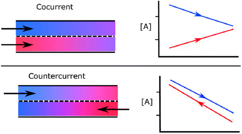Graphic showing cocurrent and countercurrent flow. In cocurrent flow, two arrows in the same direction and a graph with diverging lines. In countercurrent flow, arrows in opposite directions and a graph with nearly parallel lines.