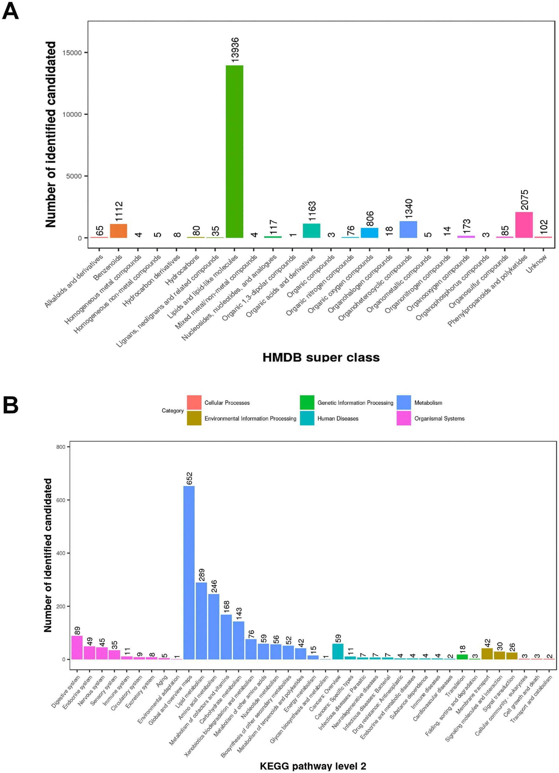 Bar charts compare identified candidate numbers in two categories.Chart A shows the HMDB superclass with the highest count for lipid-like molecules at 13,936, while Chart B displays the KEGG pathway level 2, with the metabolic pathway at 652. Categories are color-coded: cellular processes (blue), genetic information processing (green), metabolism (red), and others (yellow), aiding visual distinction.