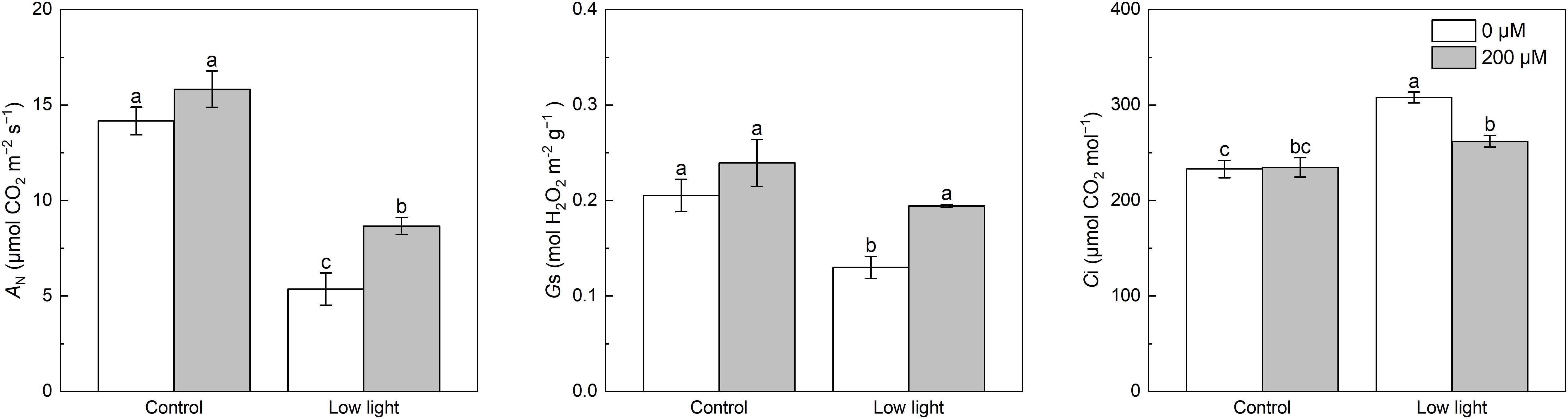 Three bar graphs compare the effects of 0 micromolar and 200 micromolar treatments on plant parameters under control and low light conditions. The first graph shows A\_N, the second G\_s, and the third C\_i, all measured in specific units. Data indicate that under low light, the 200 micromolar treatment generally increases the parameters compared to the control. Error bars and significance letters are included for statistical comparison.