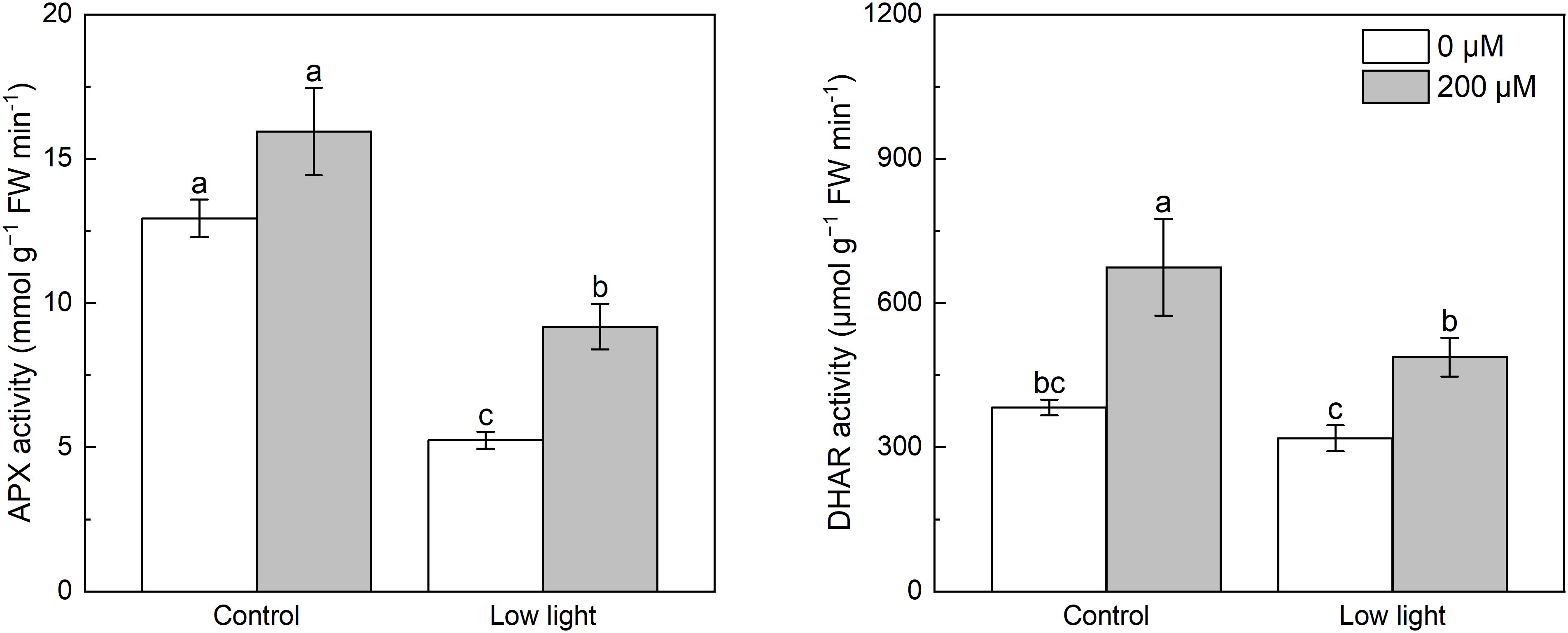 Two bar charts compare ascorbate peroxidase (APX) and dehydroascorbate reductase (DHAR) activities under control and low light conditions, with treatments of 0 micromolar and 200 micromolar. The left chart shows APX activity higher in 200 micromolar under both conditions. The right chart shows DHAR activity increased in 200 micromolar, especially under control conditions. Error bars and significance labels are included.