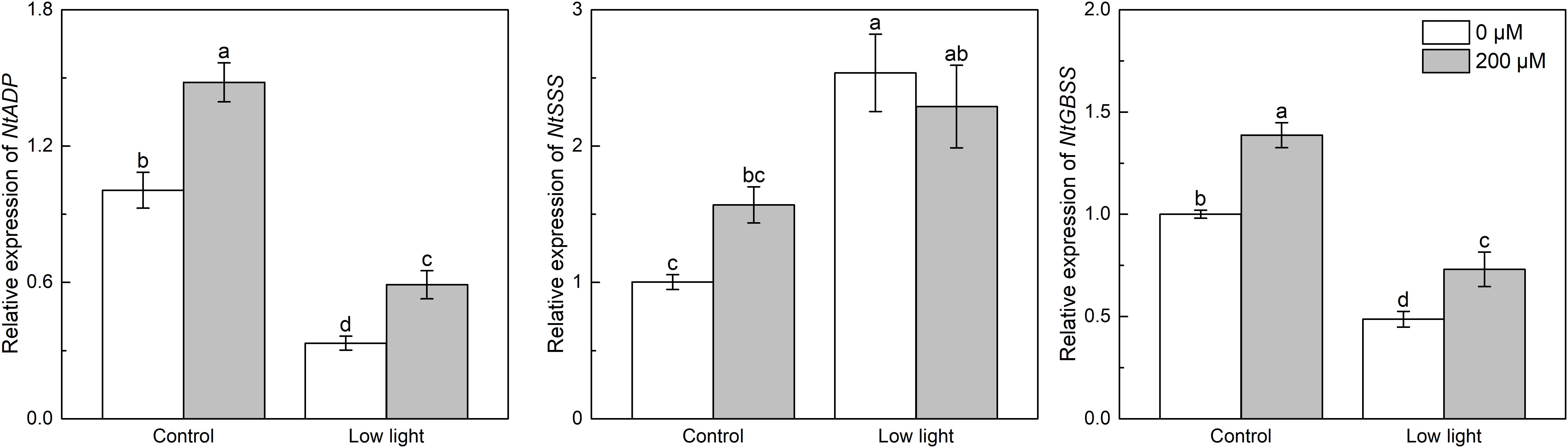 Bar graphs showing the relative expression of NtADP, NtSSS, and NtGBSS under control and low light conditions at 0 and 200 micromolar concentrations. The graphs indicate significant differences with labeled error bars.
