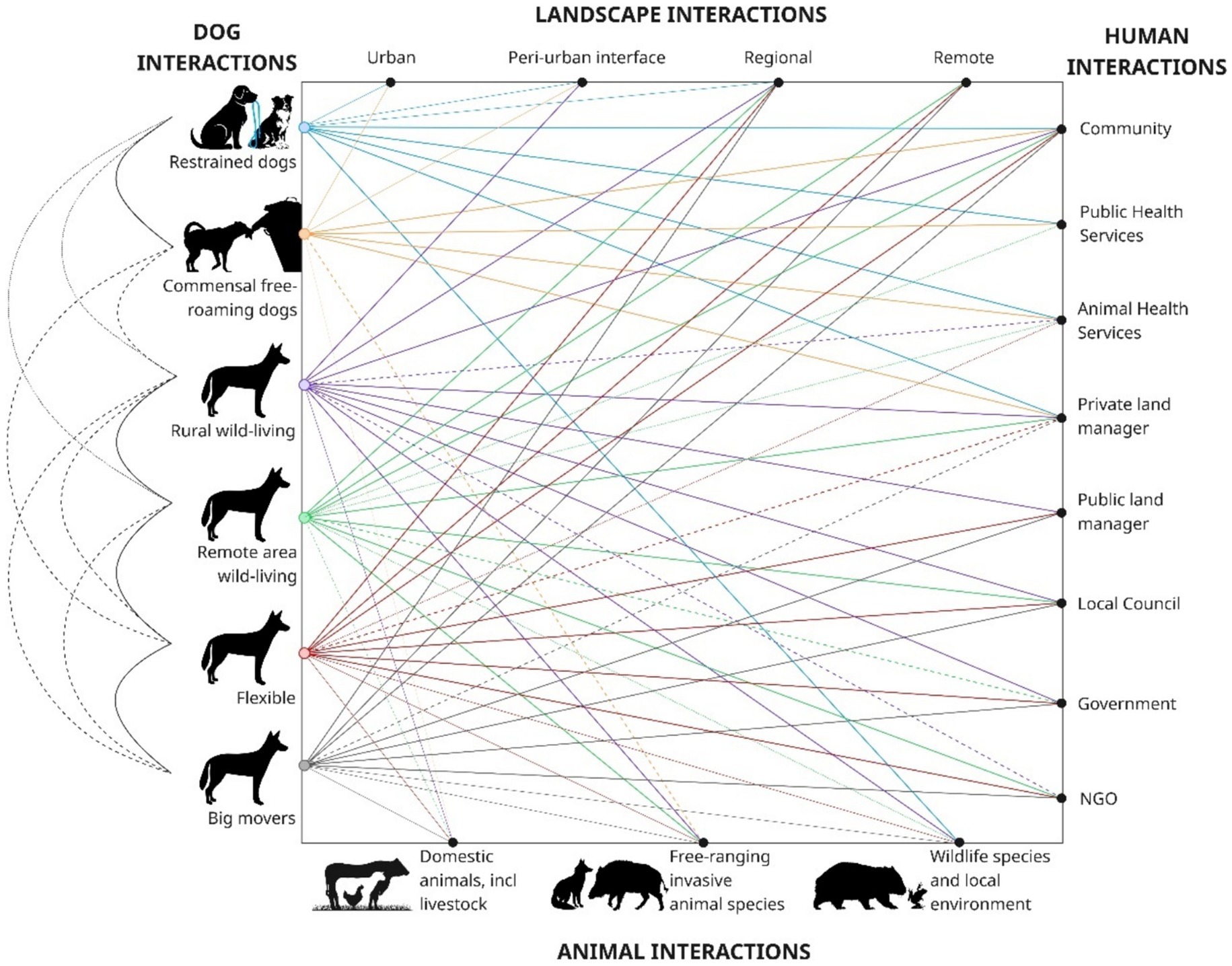 A 4-axis schema highlighting the socio-ecological interactions between six types of dogs on the left axis, the landscapes they inhabit along the top, their interactions with people down the right side, including animal and public health agencies, and animal interactions along the bottom. The strength of the interactions are shown by the line thickness and dashing.