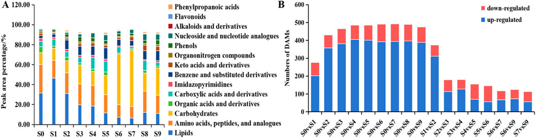 Chart A shows a stacked bar graph of peak area percentages for various chemical compounds across samples S0 to S9, including lipids, flavonoids, and amino acids. Chart B presents a bar graph comparing numbers of differentially accumulated metabolites (DAMs) between sample pairs S0 to S9, indicating up-regulated (blue) and down-regulated (red) metabolites.