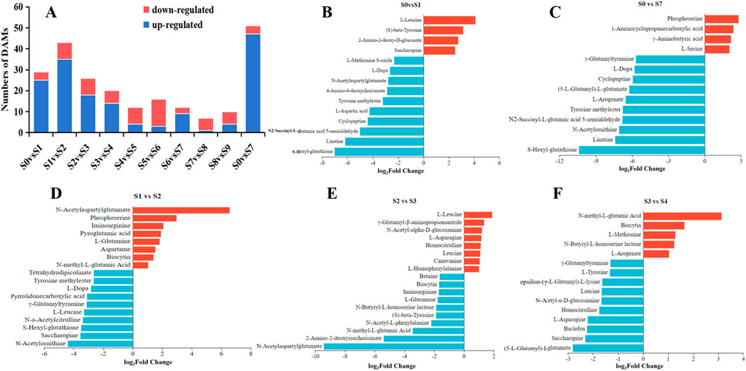 Bar charts illustrating differential abundance of metabolites (DAMs) across various comparisons (A to F). Chart A shows the number of up-regulated (blue) and down-regulated (red) DAMs for comparisons S0vsS1 through S0vsS7. Charts B to F display log₂ fold changes for specific metabolites in pairwise comparisons: S0vsS1 (B), S0vsS7 (C), S1vsS2 (D), S2vsS3 (E), S3vsS4 (F), with several metabolites highlighted as up- or down-regulated.