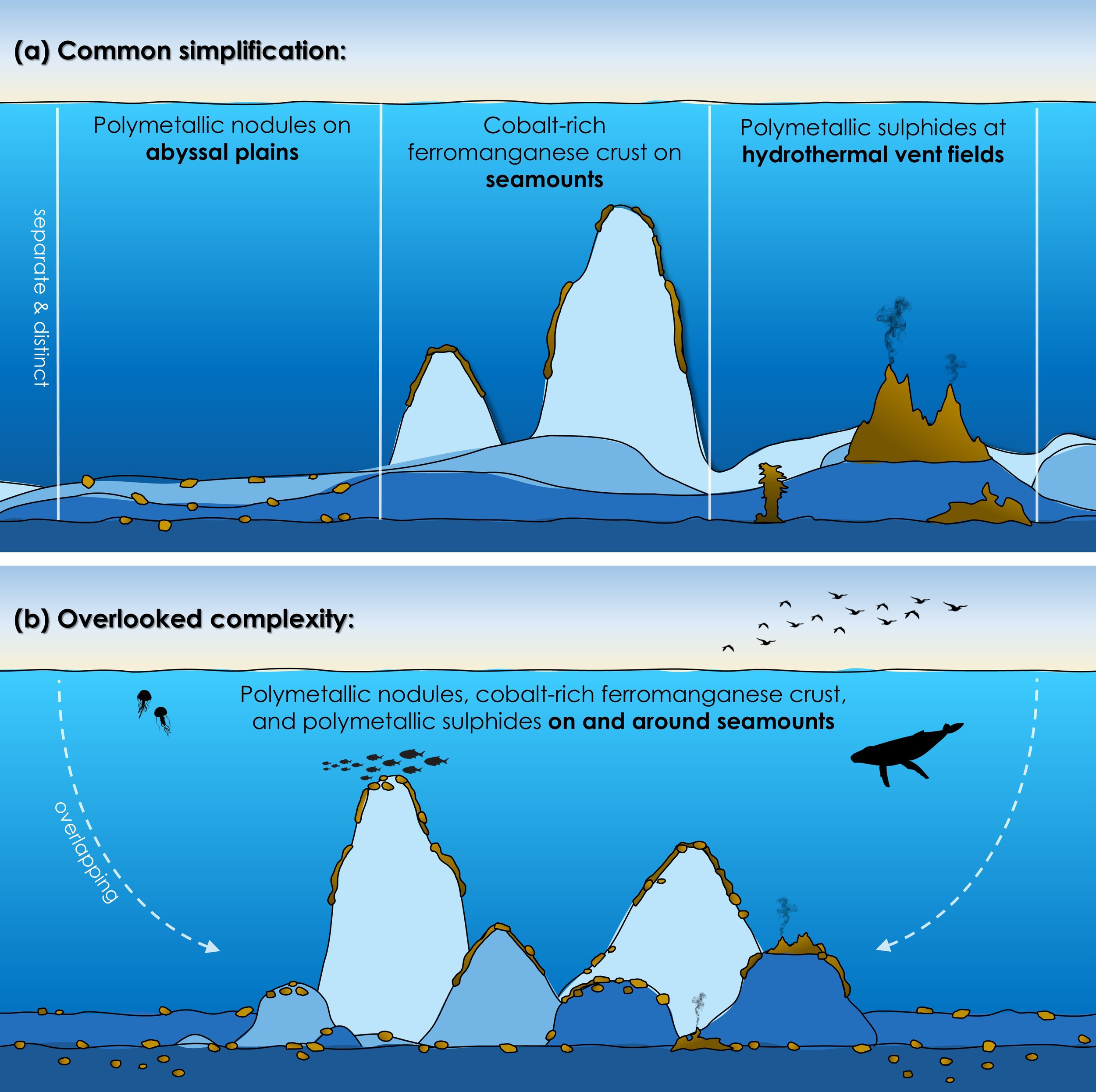 Illustration comparing seabed habitats and resources. The top panel shows distinct habitats: polymetallic nodules on abyssal plains, cobalt-rich ferromanganese crusts on seamounts, and polymetallic sulphides at hydrothermal vent fields. The bottom panel depicts overlapping habitats with all resources and animal silhouettes on and around seamounts.