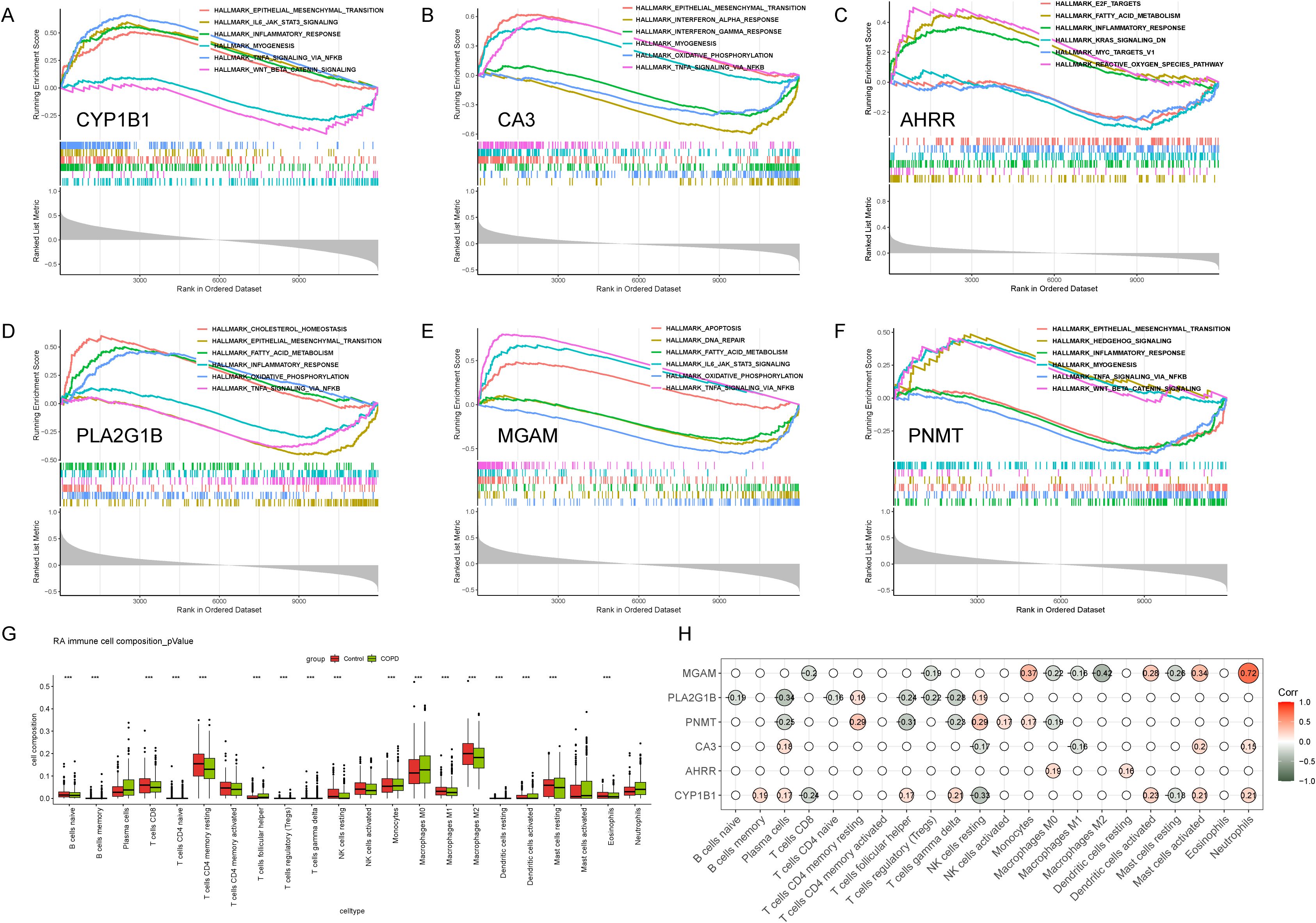 Graphs A to F show Gene Set Enrichment Analysis (GSEA) plots for genes CYP1B1, CA3, AHRR, PLA2G1B, MGAM, and PNMT, displaying enrichment scores against dataset ranks. G depicts box plots of immune cell composition by group, with significant differences marked by asterisks. H is a correlation matrix between genes and cell types, with varying correlation strengths indicated by colored circles.
