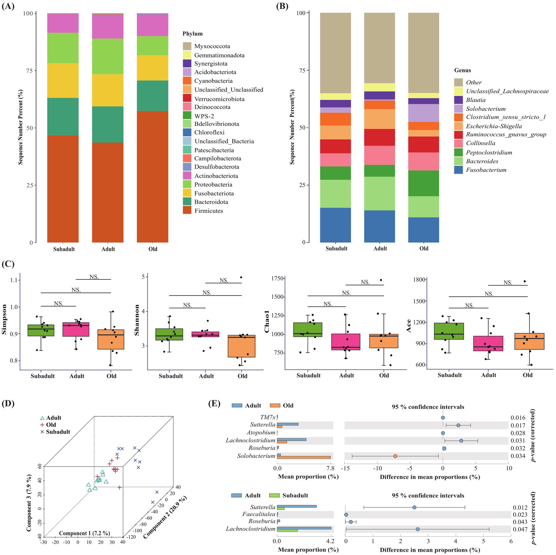 Five panels showing microbiome data:(A) Stacked bar chart showing relative abundance of bacterial phyla in subadult, adult, and old groups. Firmicutes and Bacteroidota are dominant.(B) Stacked bar chart of bacterial genus proportions for the same groups, detailing prominent genera like Bacteroides and Peptoclostridium.(C) Box plots display alpha diversity metrics (Simpson, Shannon, Chao1, Ace) across groups, with no significant differences indicated by
