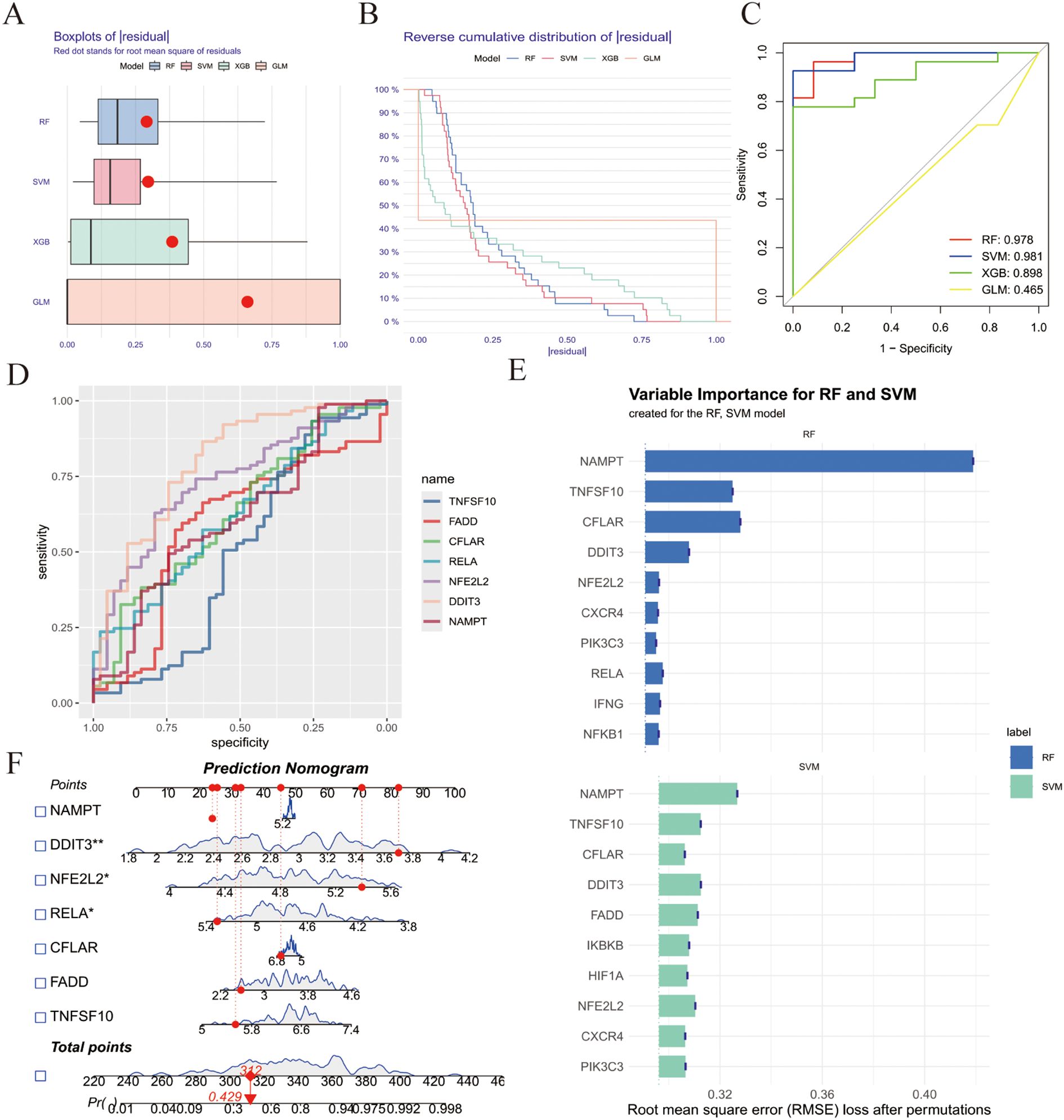 A multi-panel image featuring data visualizations. Panel A shows box plots of residuals for models RF, SVM, XGB, and GLM, with red dots indicating the root mean square of residuals. Panel B presents a reverse cumulative distribution of residuals for the same models. Panel C displays a Receiver Operating Characteristic (ROC) curve for models RF, SVM, XGB, and GLM, highlighting their sensitivities. Panel D illustrates multiple ROC curves for various genes like TNFSF10 and DDIT3. Panel E includes bar charts displaying variable importance for the RF and SVM models, focusing on genes like NAMPT and CFLAR. Panel F shows a prediction nomogram for various genes, indicating their relative contributions with a focus on total points.