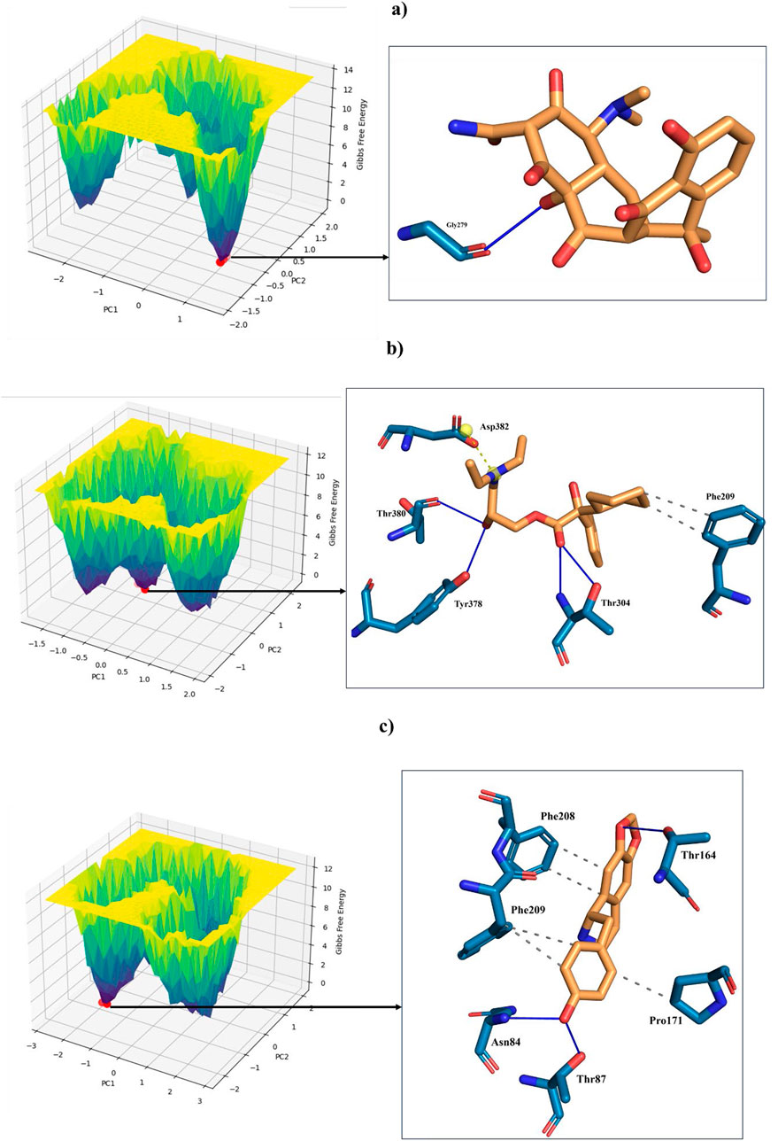 Three panels labeled a, b, and c, each featuring a 3D graph and a molecular structure. All graphs have axes labeled PC1, PC2, and Gibbs Free Energy, with a color gradient from purple to yellow. Each molecular structure is depicted with interactions between atoms shown by dashed lines, highlighting specific amino acids or molecular components.