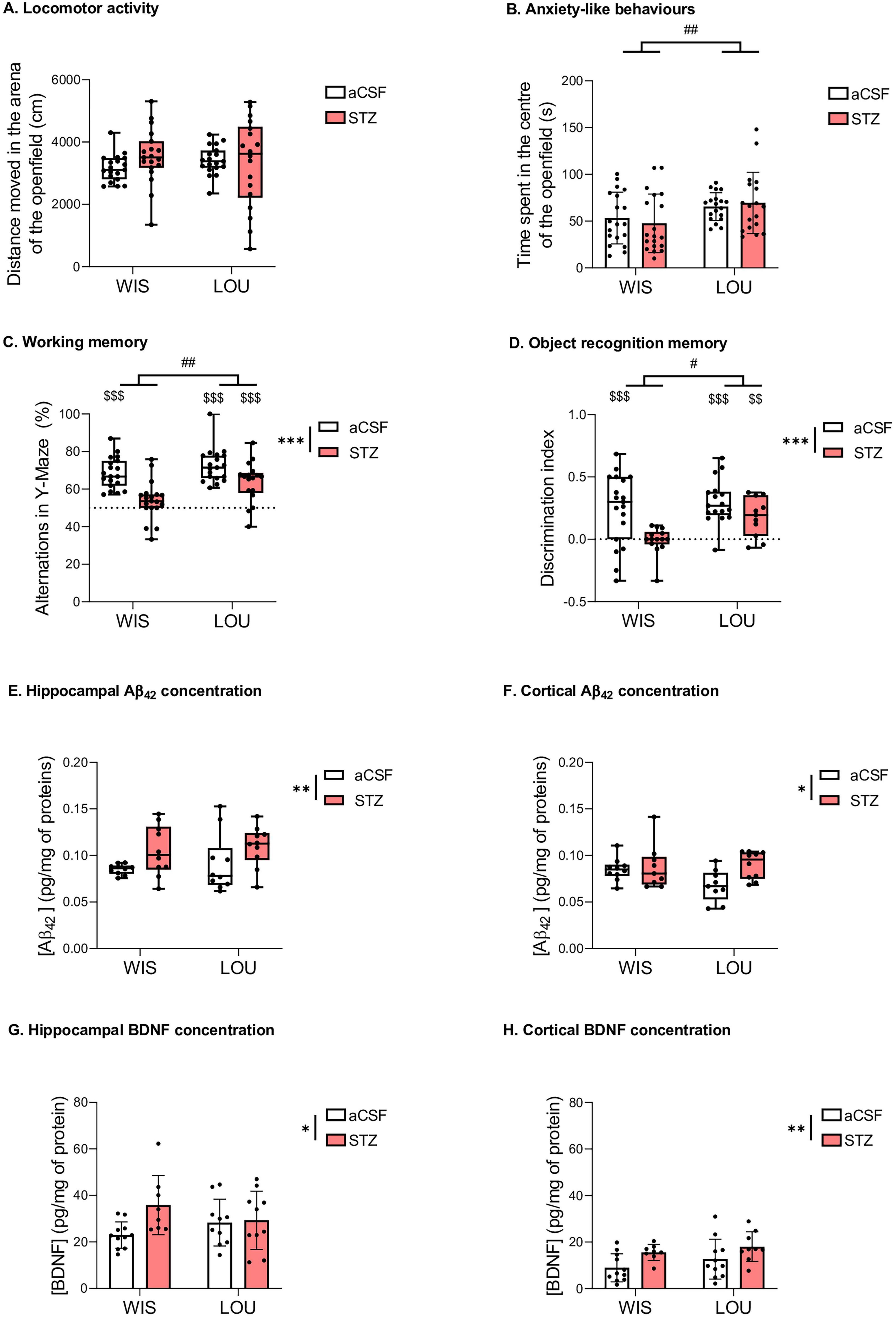 Eight box plots compare the effects of aCSF and STZ treatments on WIS and LOU rats. Panels measure locomotor activity, anxiety-like behaviors, working memory, object recognition, hippocampal and cortical Aβ42 concentration, and hippocampal and cortical BDNF concentration. Significant differences are indicated by symbols such as ## and *** across various graphs.
