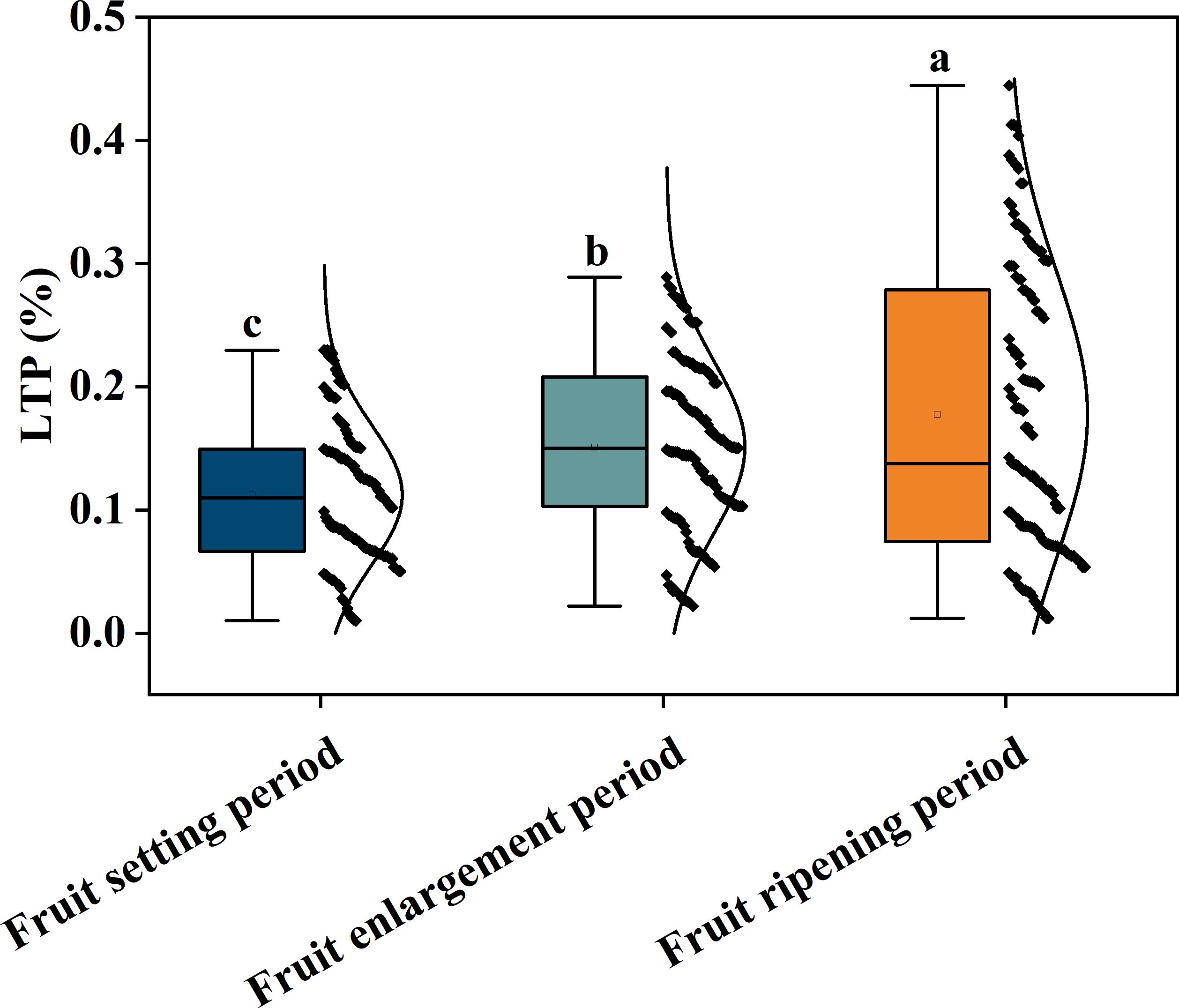 Box plots showing LTP percentage during three phases: fruit setting (lowest percentage), fruit enlargement (mid percentage), and fruit ripening (highest percentage). Significant differences are marked by letters a, b, c.