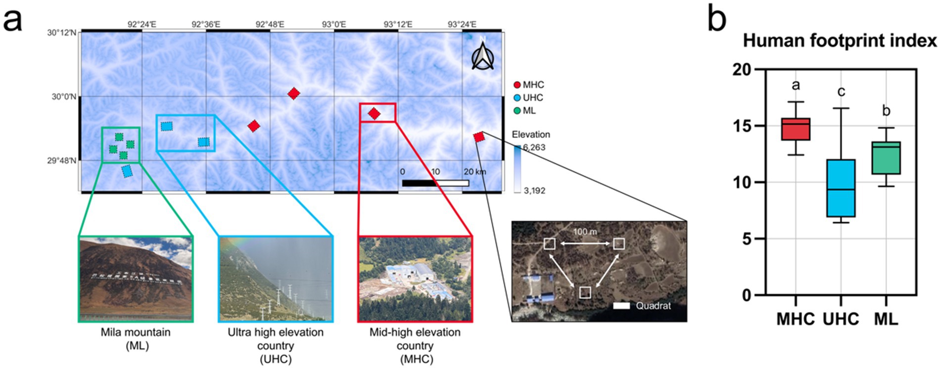 Map and box plot illustrating human footprint index across elevation regions. Part (a) shows a geographical map with Mila Mountain (ML), Ultra High Elevation Country (UHC), and Mid-High Elevation Country (MHC) marked, along with elevation gradients. Part (b) displays a box plot of the human footprint index for MHC, UHC, and ML, labeled with letters a, b, and c, with index values ranging from five to twenty.