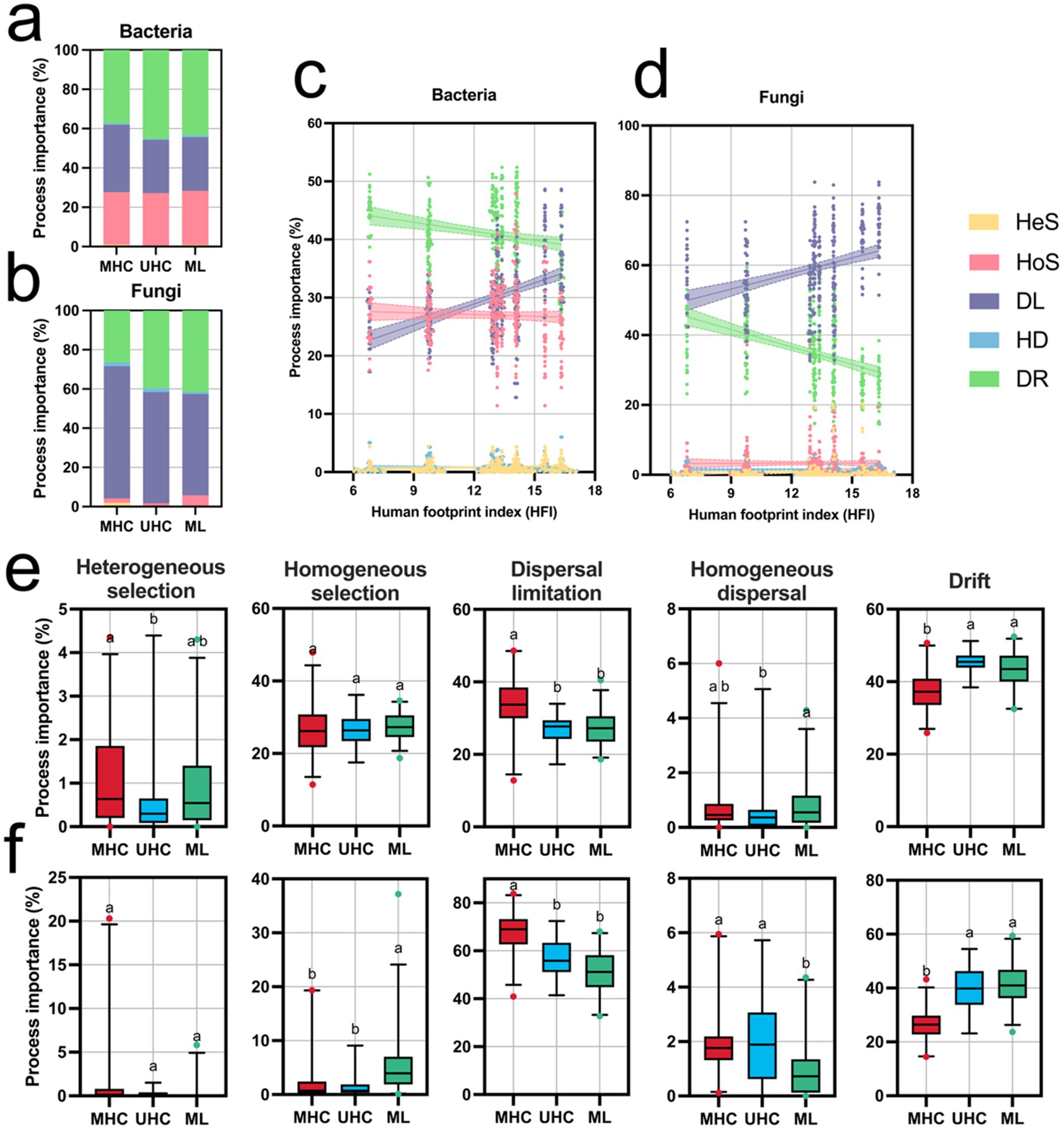 Bar charts and scatter plots depict the importance of ecological processes for bacteria and fungi in different conditions. Panels a and b present stacked bar charts comparing process importance percentages across categories MHC, UHC, and ML for both bacteria and fungi. Panels c and d show scatter plots with trend lines correlating Human Footprint Index (HFI) with process importance for bacteria and fungi. Panels e and f include box plots exploring process importance divided into categories like Heterogeneous selection and Drift, showcasing statistical differences marked by letters a and b.