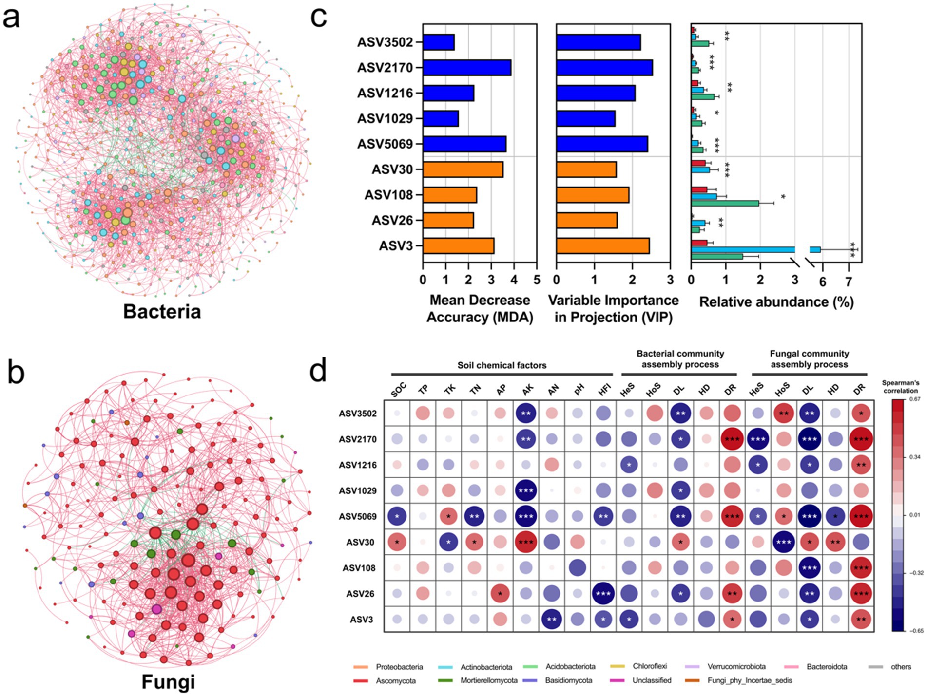 Graphical panels depicting microbiome analysis. Panel (a) shows a complex network of bacteria, with nodes representing species. Panel (b) illustrates a similar network for fungi. Panel (c) contains bar graphs indicating bacterial features, including Mean Decrease Accuracy, Variable Importance in Projection, and Relative Abundance, with categories color-coded. Panel (d) presents a correlation matrix of soil chemical factors and community assembly processes, with Spearman's correlation values represented by color intensity and signs. Legends identify microbial groups, such as Proteobacteria and Ascomycota.