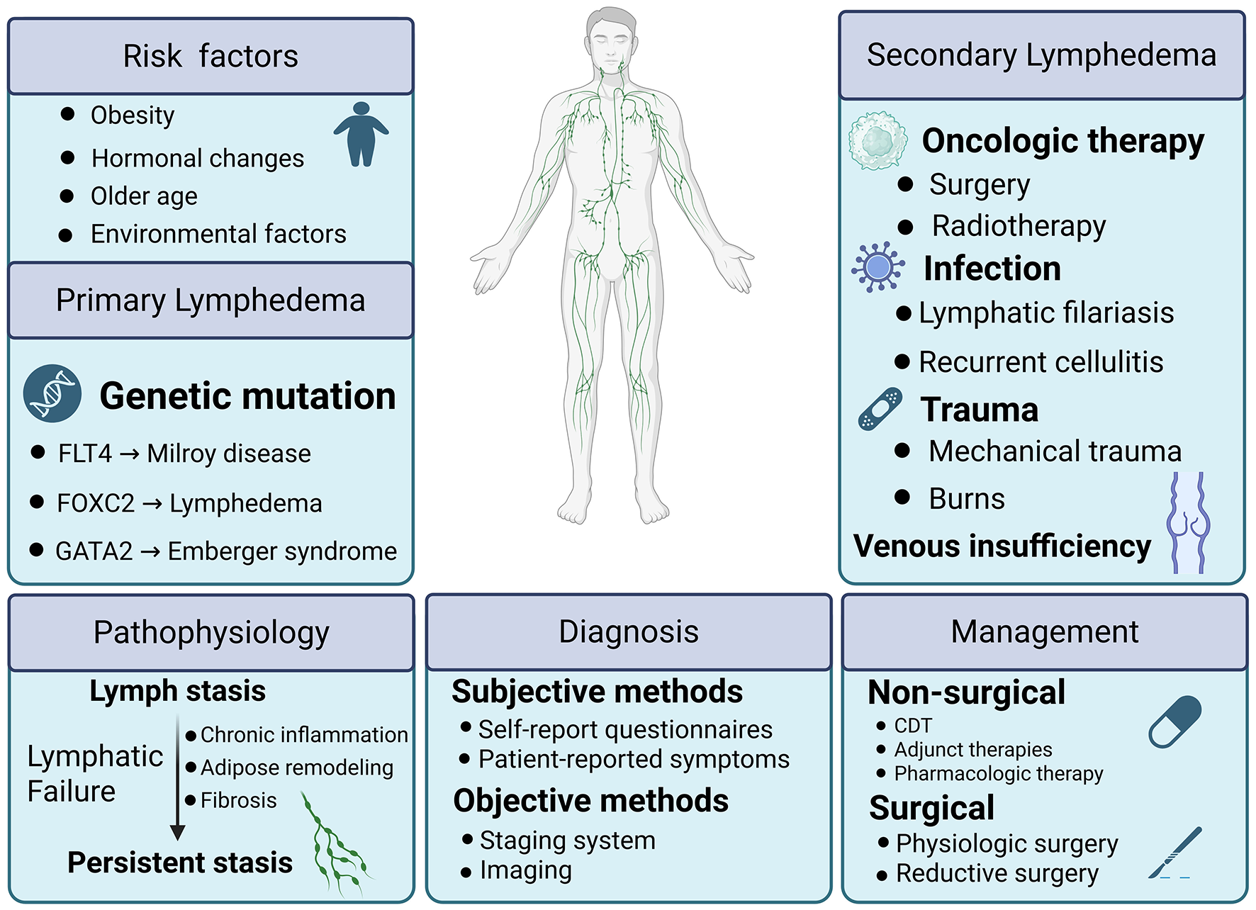Chart detailing lymphedema information. Sections cover risk factors like obesity and age; primary lymphedema with genetic mutations; and secondary lymphedema sources like therapy, infection, trauma. Pathophysiology outlines lymphatic failure leading to chronic inflammation. Diagnosis uses subjective and objective methods; management includes non-surgical therapies and surgical options. A central figure showcases lymphatic system anatomy.