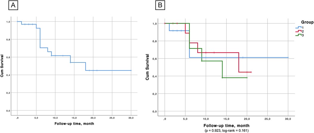 Panel A shows a Kaplan-Meier survival curve for one group, depicting cumulative survival over thirty months. Panel B displays survival curves for three groups in blue, red, and green lines, with similar axes. The p-value in Panel B is 0.923, and the log-rank test value is 0.161.