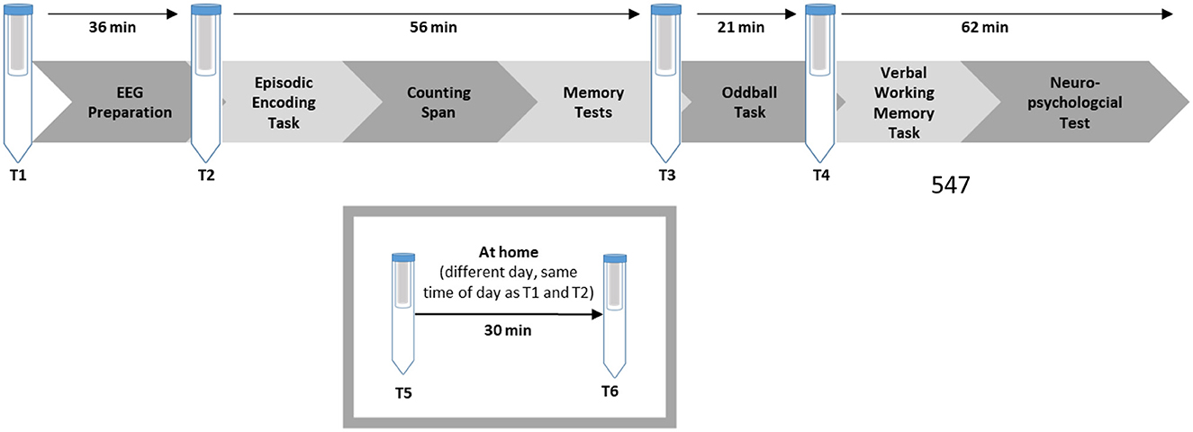 Timeline diagram showing a sequence of tasks and time intervals. Starting with EEG Preparation for 36 minutes, followed by Episodic Encoding Task, Counting Span, and Memory Tests for 56 minutes. Then, Oddball Task for 21 minutes, followed by Verbal Working Memory Task and Neuropsychological Test for 62 minutes. Separate section details a 30-minute at-home test after T5, performed on a different day at the same time as T1 and T2. Test tubes mark transitions between tasks.