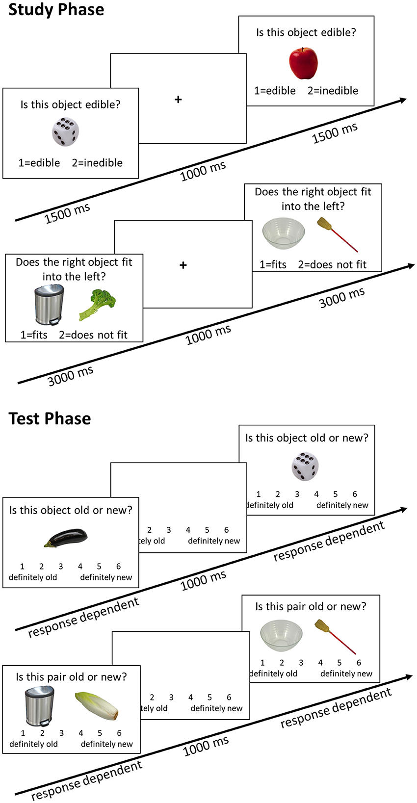 Diagram illustrating an experimental procedure with two phases: Study and Test. In the Study Phase, participants determine if objects are edible or whether one object fits into another, with specific timings in milliseconds. In the Test Phase, participants decide if objects or pairs are old or new using a scale from definitely old to definitely new. Time intervals vary based on responses. Visual elements include images of objects, a plus sign, and timelines indicating milliseconds.