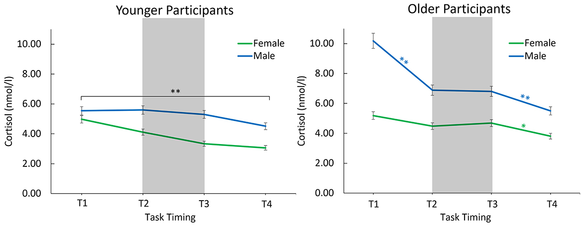 Graphs comparing cortisol levels in younger and older participants during EEG prep, memory task, and oddball task. Younger group shows cortisol decrease in males and stabilization in females. Older group shows a greater cortisol decrease in males than in females. Significant differences are marked with asterisks.
