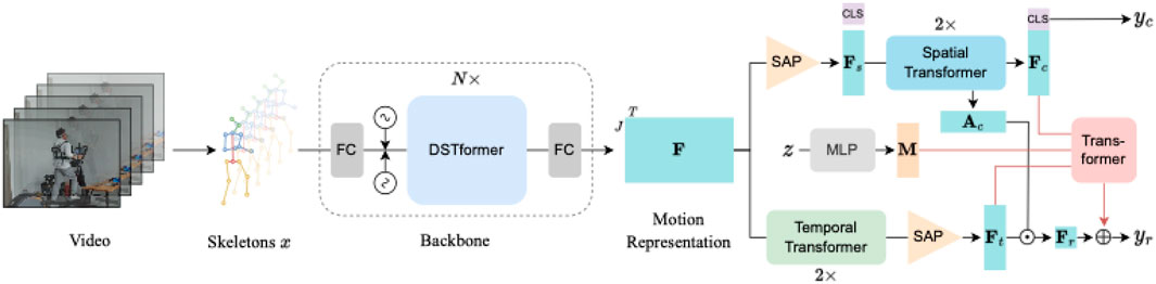 Diagram illustrating a process flow using skeleton sequence for energy expenditure estimation, followed by three branches incorporating DSTformer. The process involves motion representation with a Spatial Transformer, Temporal Transformer, and MLP to generate outputs for classification and regression.