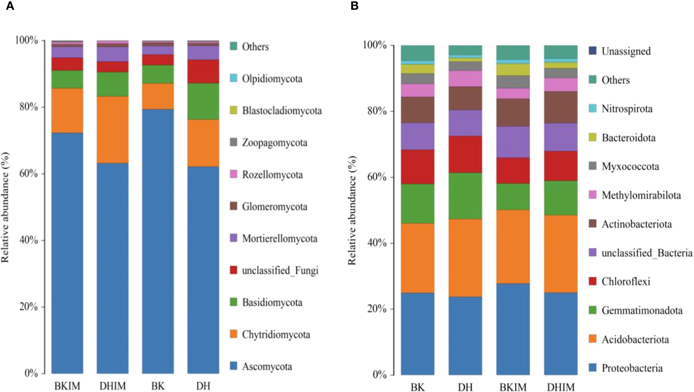 Two stacked bar charts depict the relative abundance of different microbial groups. Chart A shows fungal groups including Ascomycota and Basidiomycota, highlighted in various colors. Chart B displays bacterial groups such as Proteobacteria and Actinobacteriota, also color-coded. Both charts compare four different sample types: BK, DH, BKIM, and DHIM, with a scale from zero to one hundred percent.