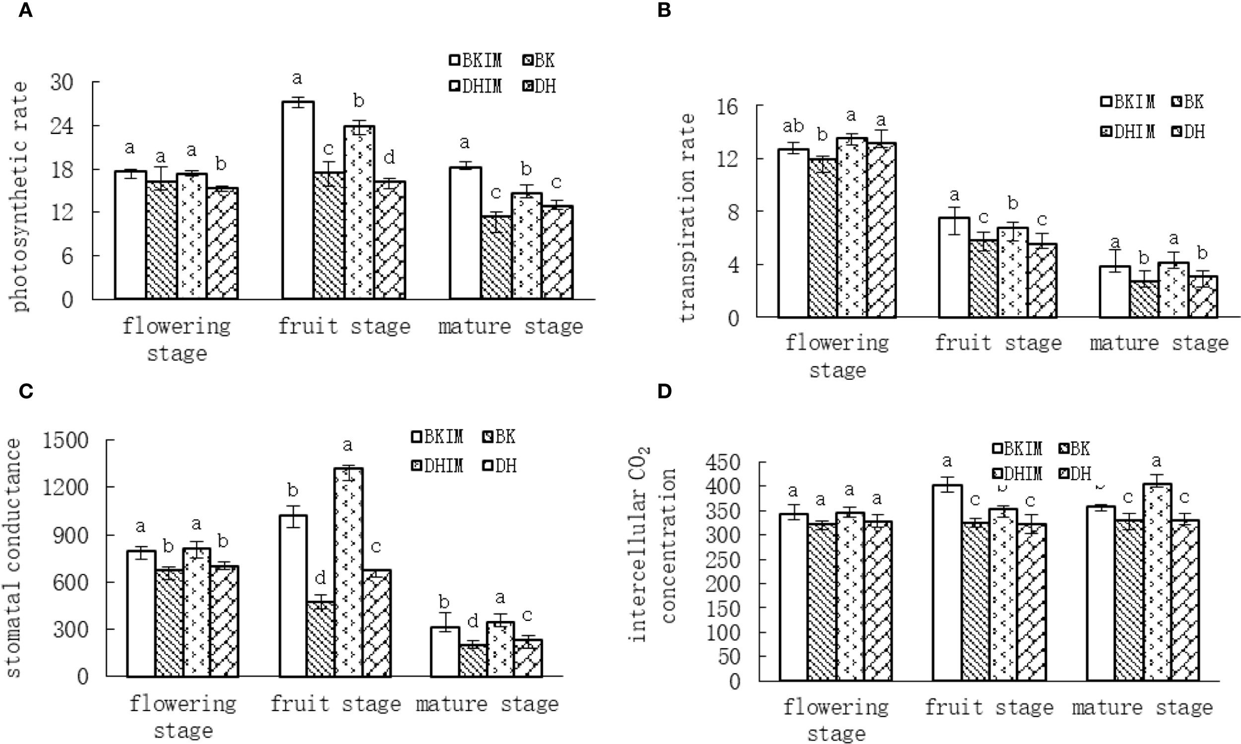 Graphs A to D display plant physiological parameters across flowering, fruit, and mature stages. Graph A shows photosynthetic rates, graph B transpiration rates, graph C stomatal conductance, and graph D intercellular CO2 concentration. The data is categorized by BKIM, BK, DHIM, and DH groups, with statistical differences marked by letters.