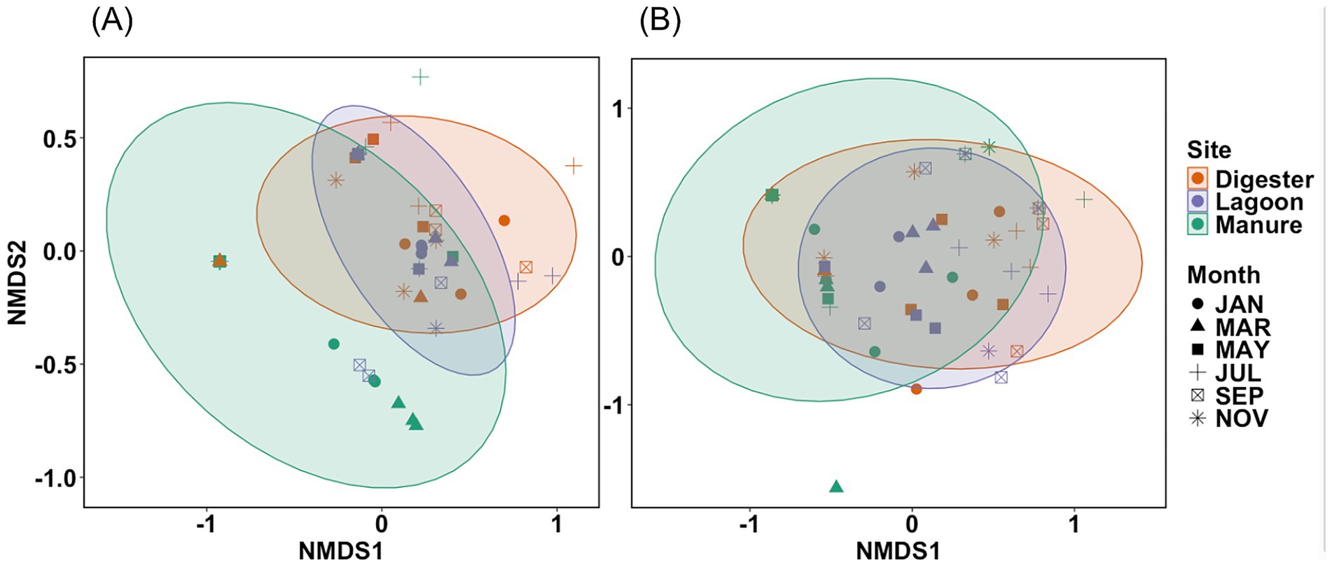 Two NMDS plots titled (A) and (B) depict data points representing months: January, March, May, July, September, and November. Sites include Digester, Lagoon, and Manure, each with distinct color-coded ellipses. The axes are labeled NMDS1 and NMDS2.