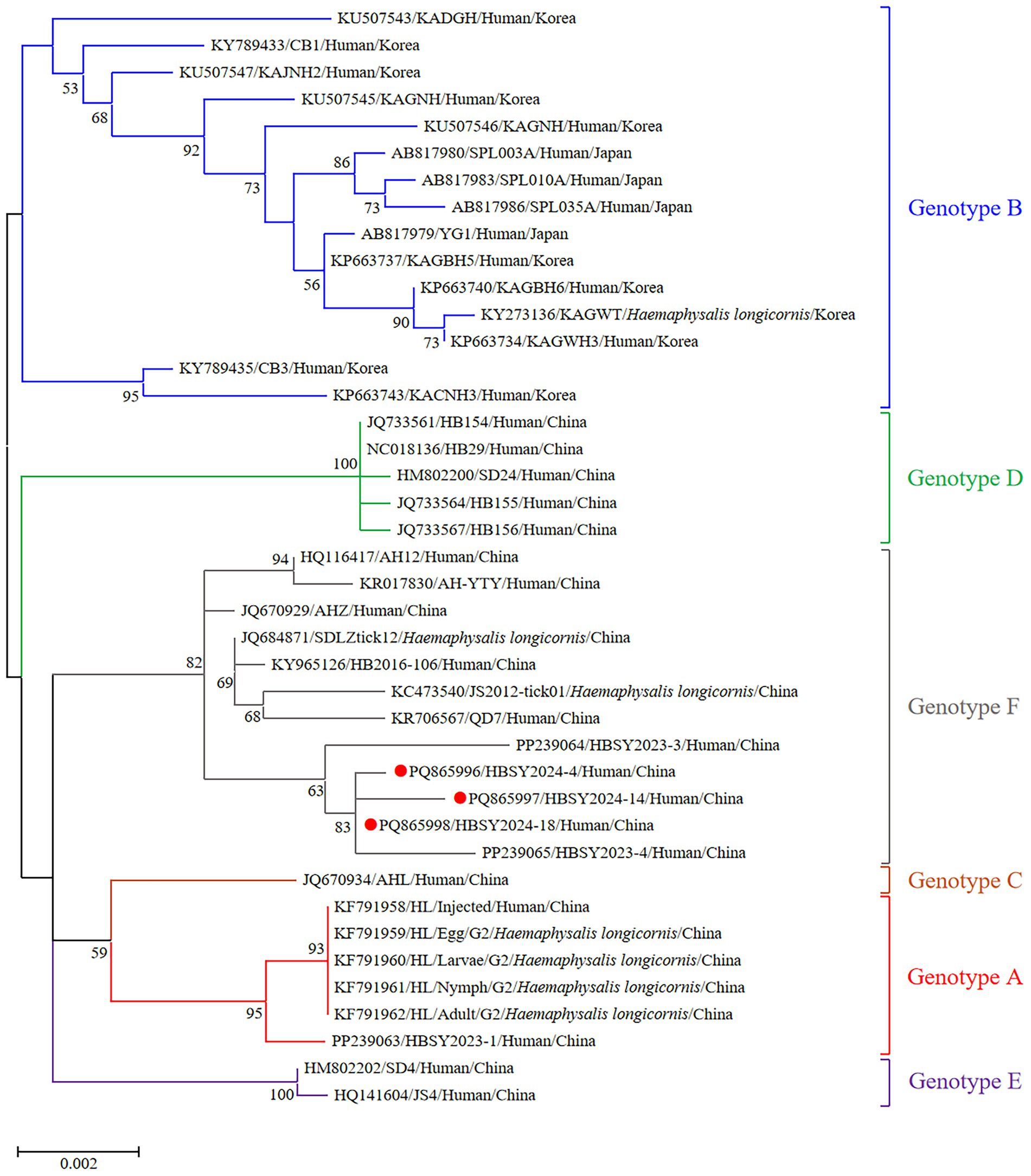 Phylogenetic tree illustrating genetic relationships among various strains labeled with genotype classifications A, B, C, D, E, and F. Each branch includes strain identification, source species or country, with genotypes highlighted in distinct colors: A in red, B in blue, C in brown, D in green, E in purple, and F in black. Red circles indicate specific strains within genotype F. Bootstrap values are shown on branch nodes, with a scale bar representing genetic distance at 0.002.