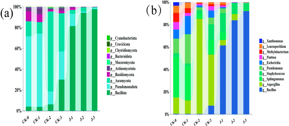 Stacked bar charts showing the composition of different taxa across samples CK-0, CK-1, CK-2, CK-3, J-1, J-2, J-3. Chart (a) displays phyla such as Cyanobacteriota and Uroviricota. Chart (b) shows genera including Xanthomonas and Leucospordium. Percentages are marked on the y-axis, and taxa are color-coded in the legend.
